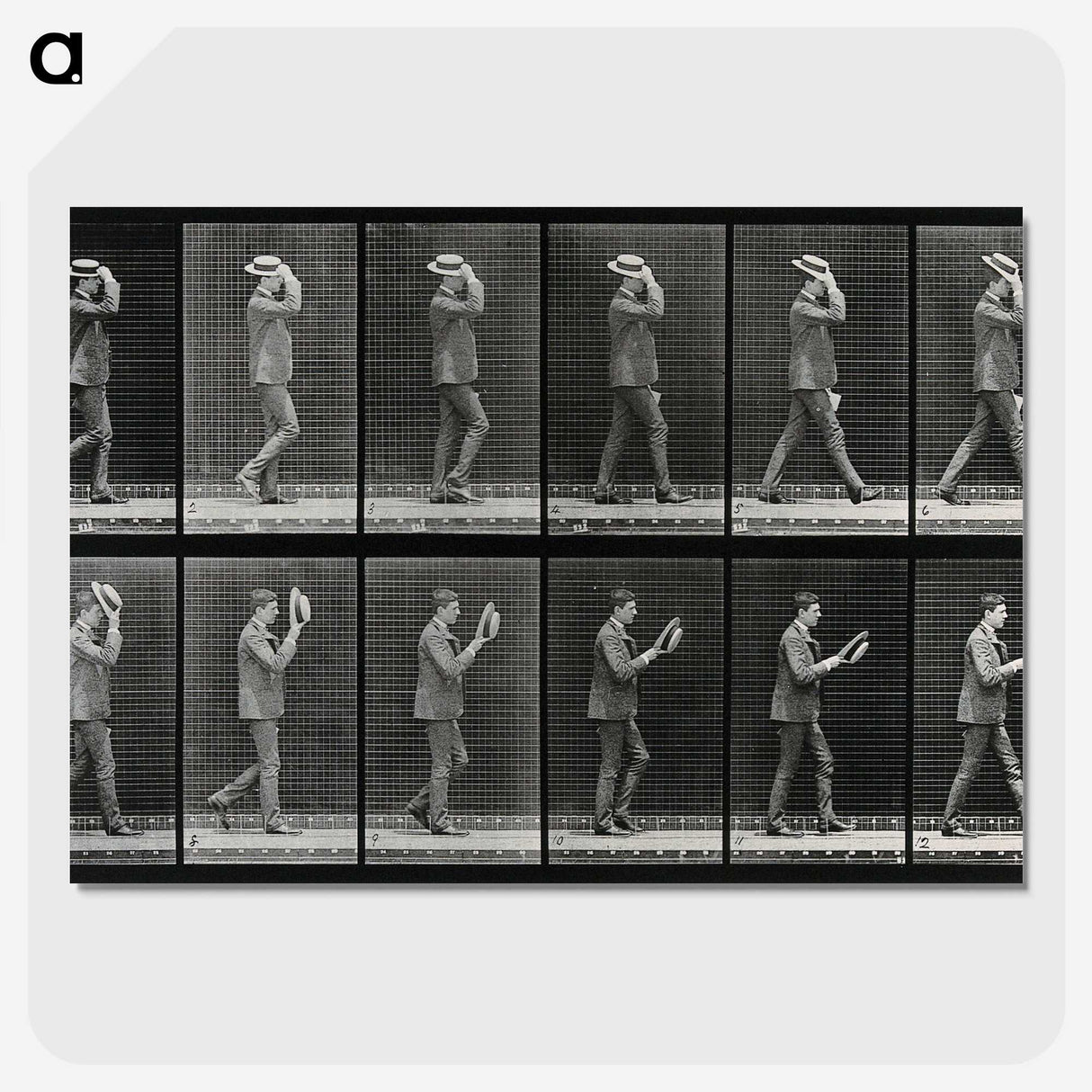 2-83_Eadweard-Muybridge_picture-crop