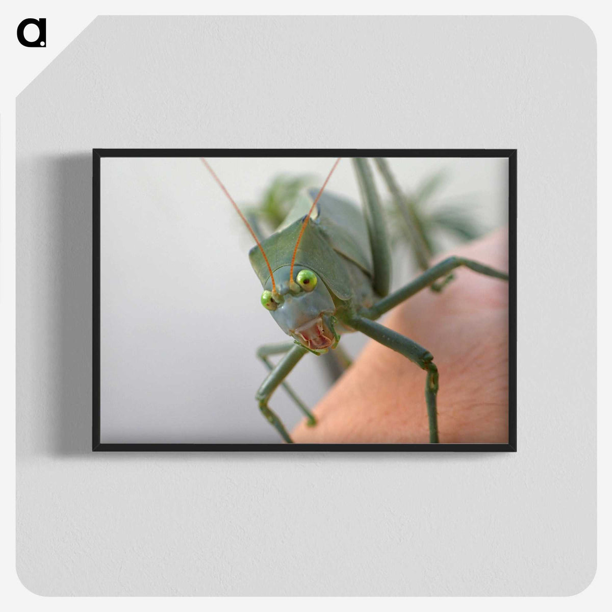 2-83_Insects-Unlocked-Project_blk-crop
