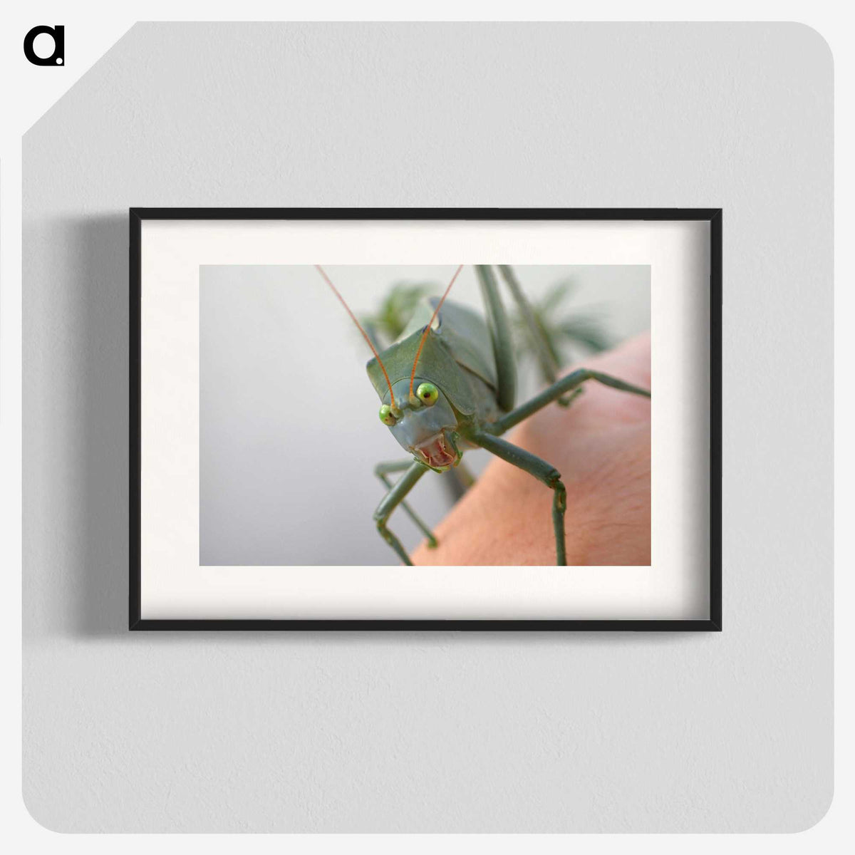 2-83_Insects-Unlocked-Project_blk