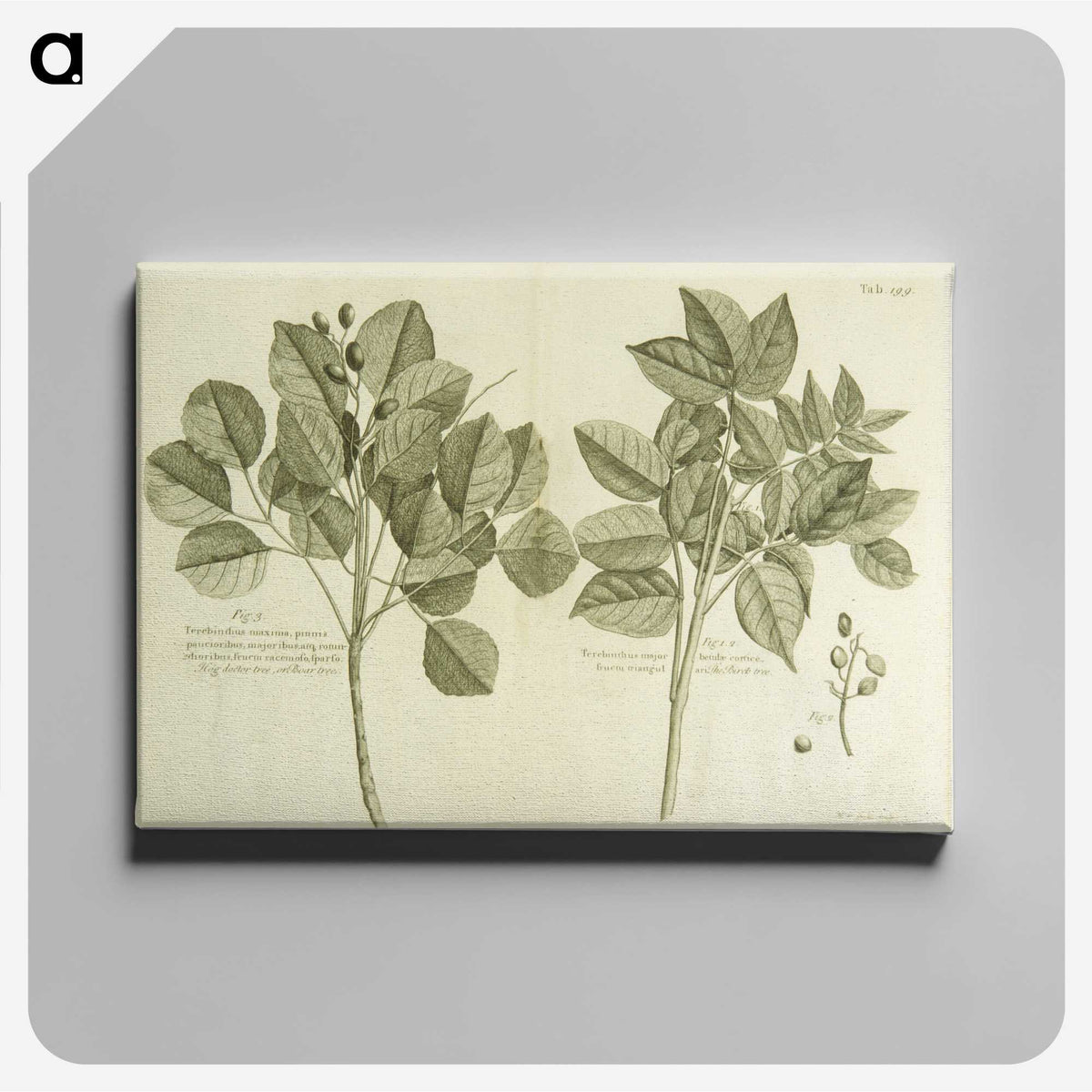 2-83_National-Library-of-Medicine_canvas