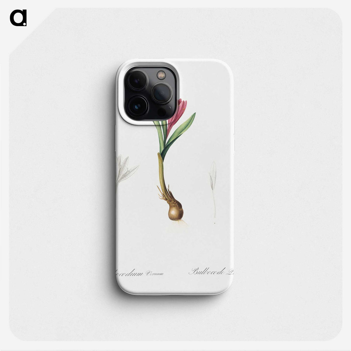 2-83_The-Lilies_phone