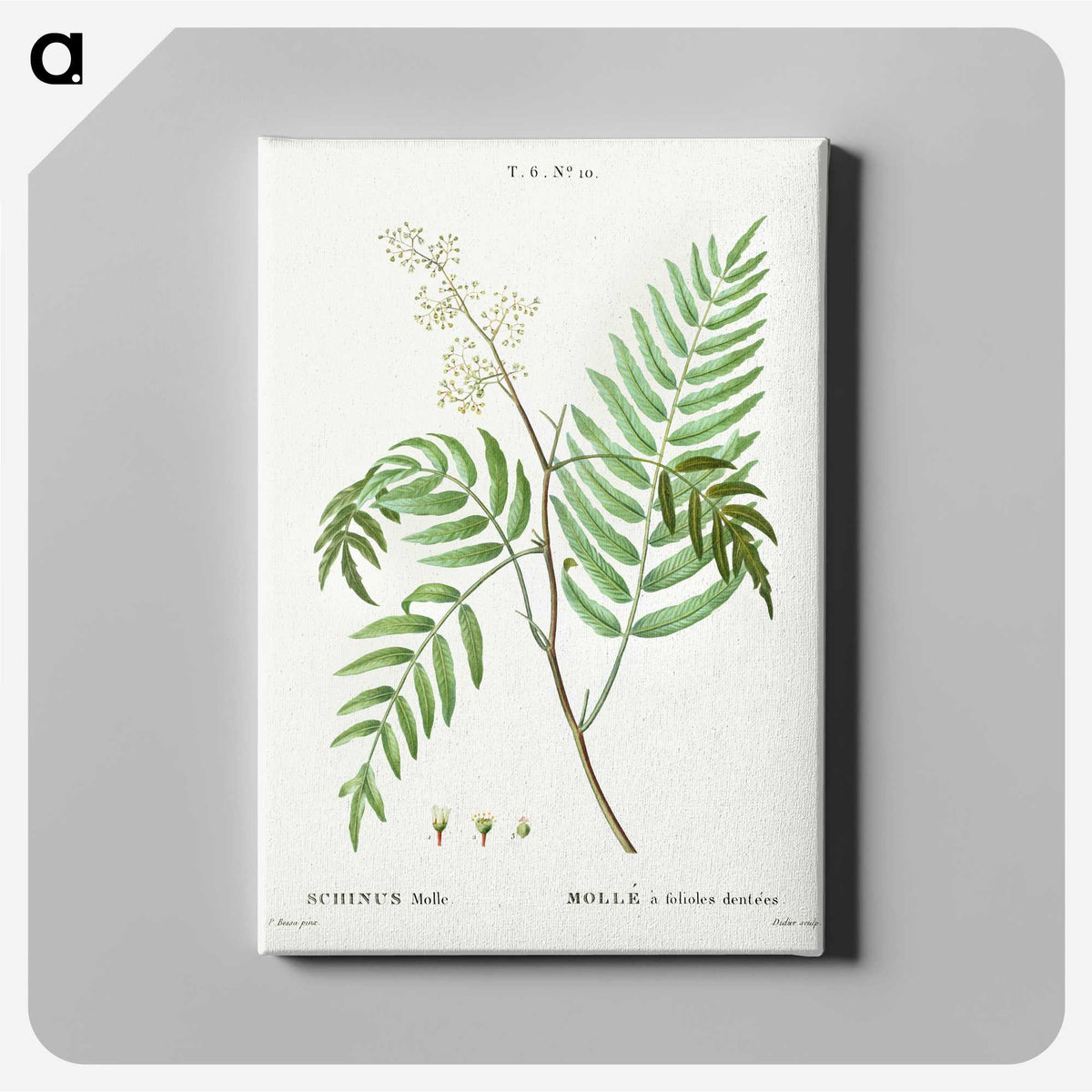 2-83_Treatise-on-Trees-and-Shrubs_canvas