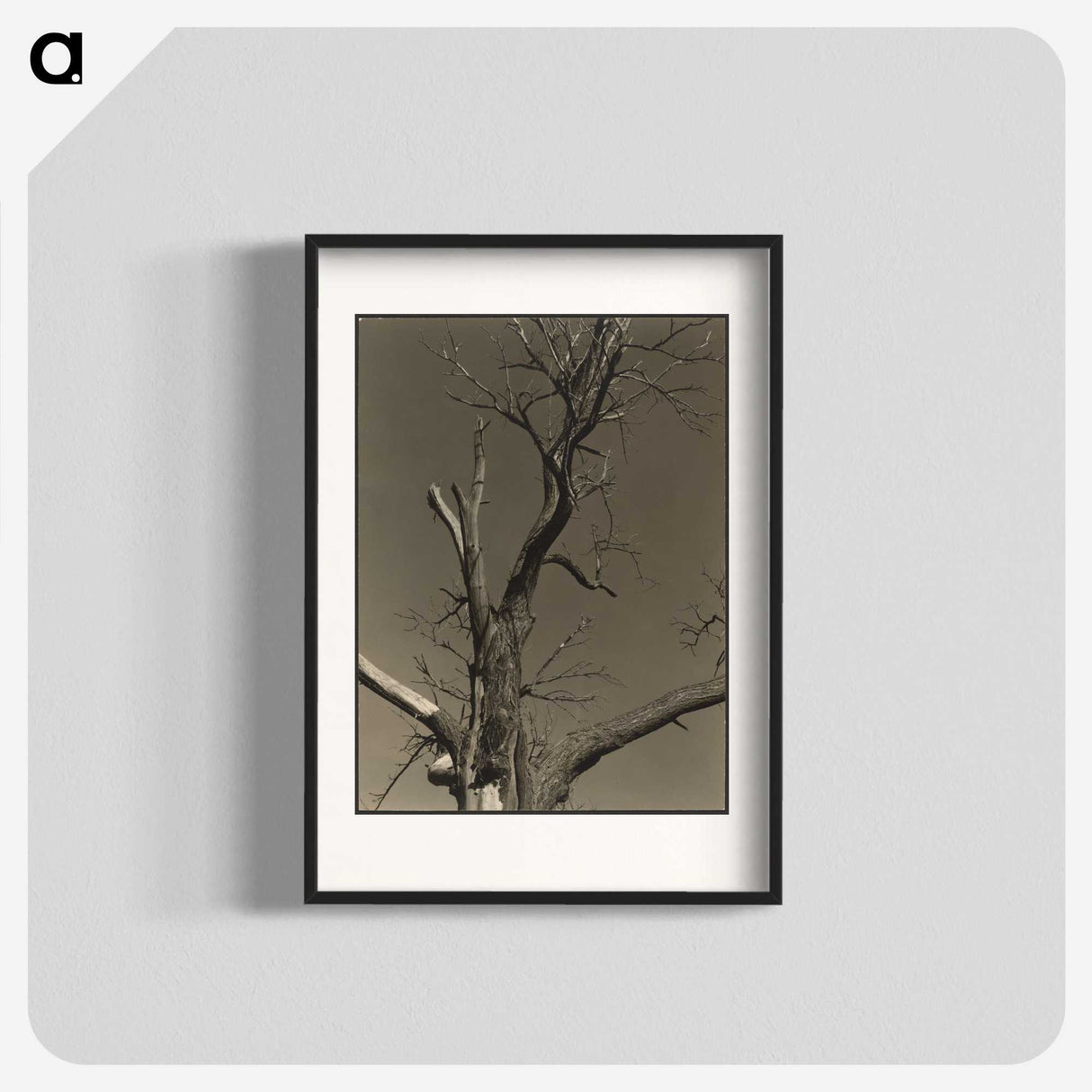 2-84_Alfred-Stieglitz_blk
