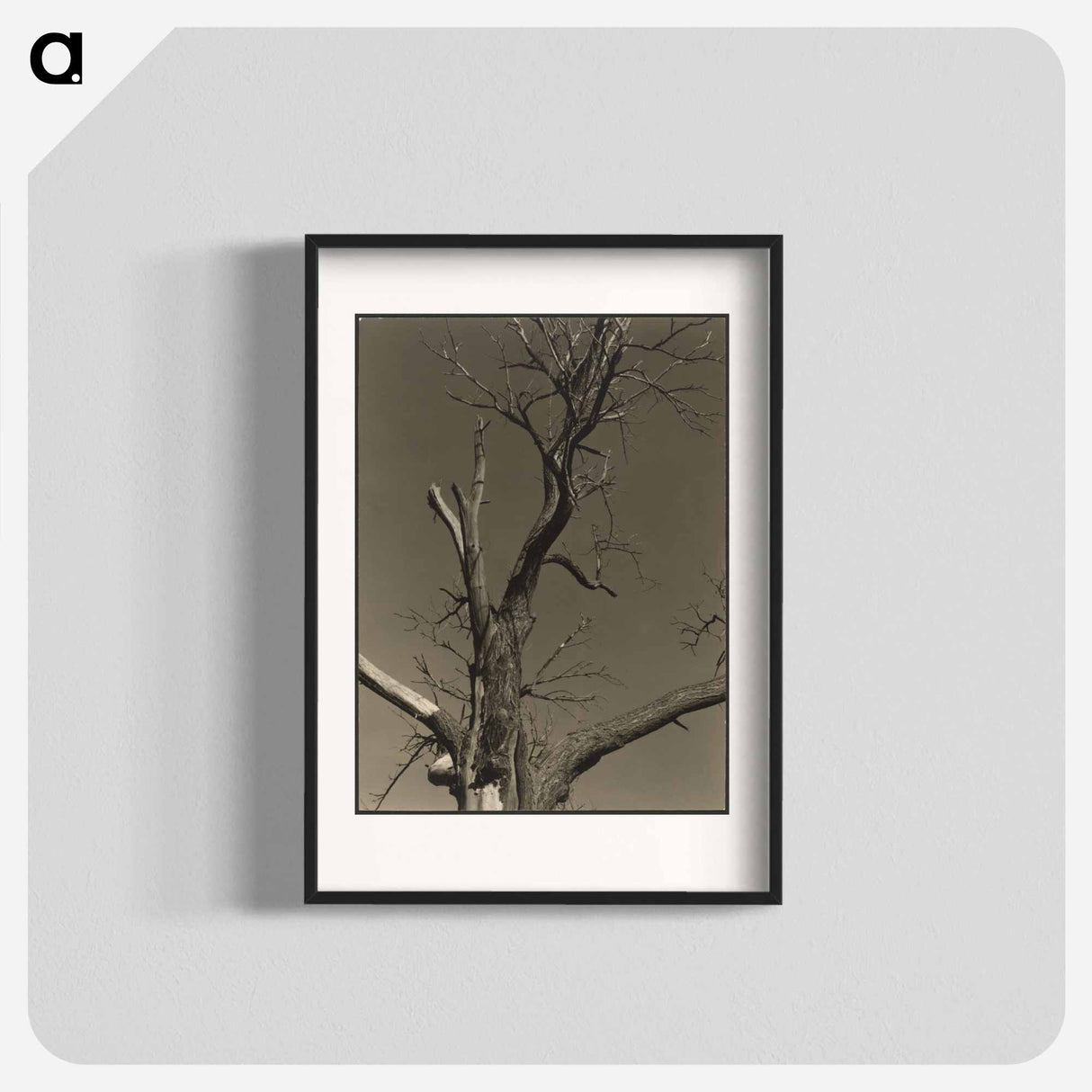 アートポスター-Chestnut Tree, Lake George - アルフレッド スティーグリッツ Poster.