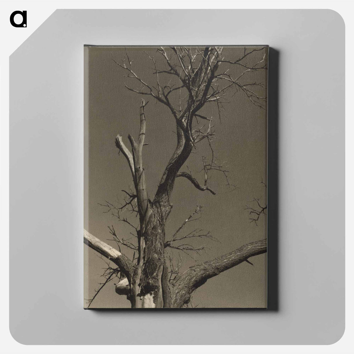アートパネル-Chestnut Tree, Lake George - アルフレッド スティーグリッツ Canvas.