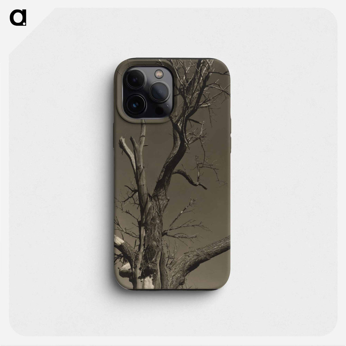 Chestnut Tree, Lake George - アルフレッド スティーグリッツ Phone Case.