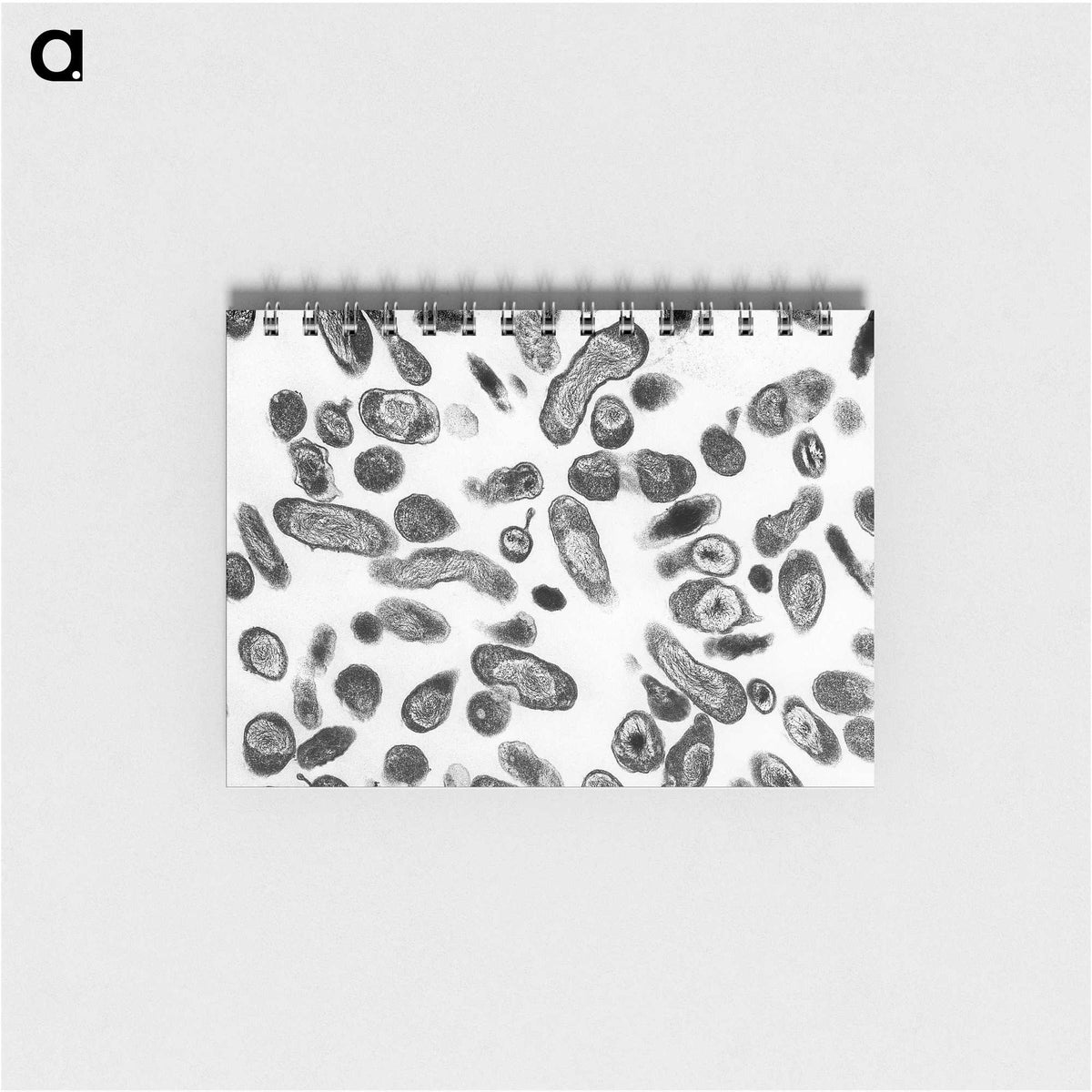 2-84_COVID-19_memo