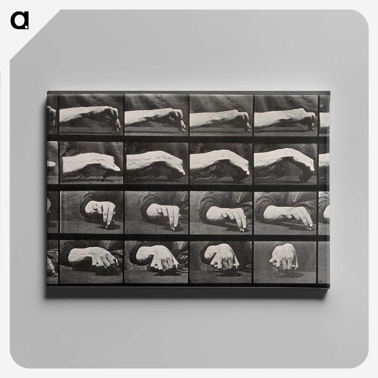 2-84_Eadweard-Muybridge_canvas