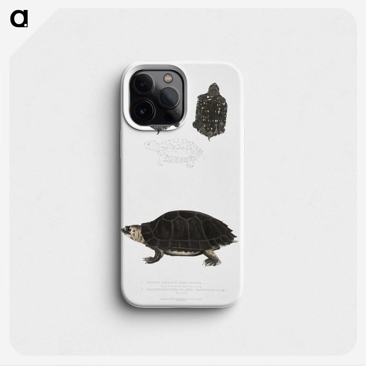 2-84_Indian-Zoology_phone