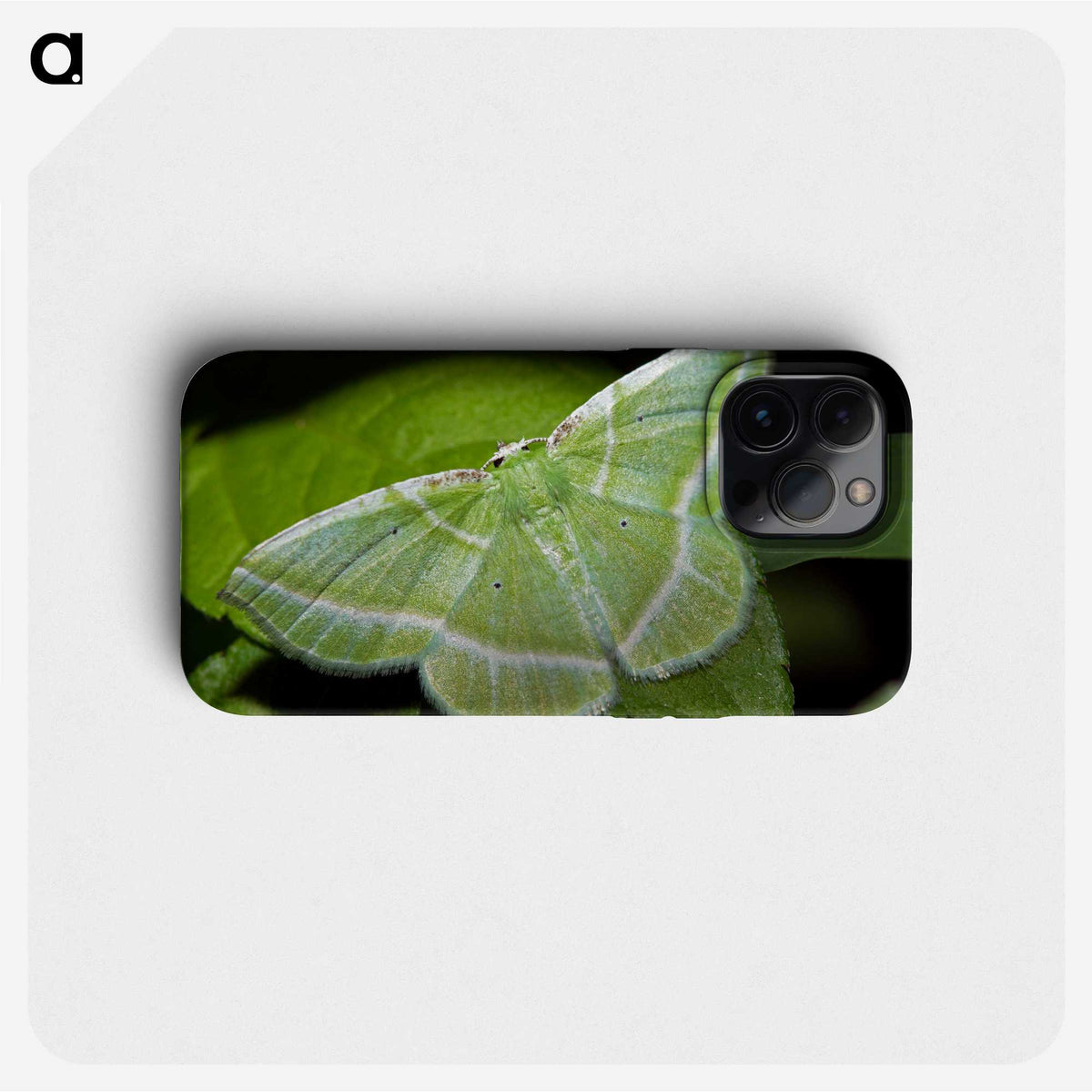 2-84_Insects-Unlocked-Project_phone