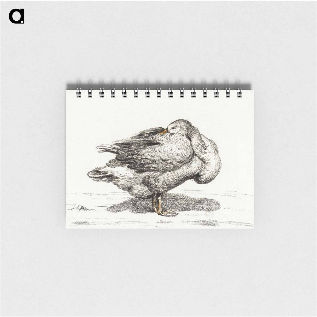 Goose - ジャン ベルナール Memo.