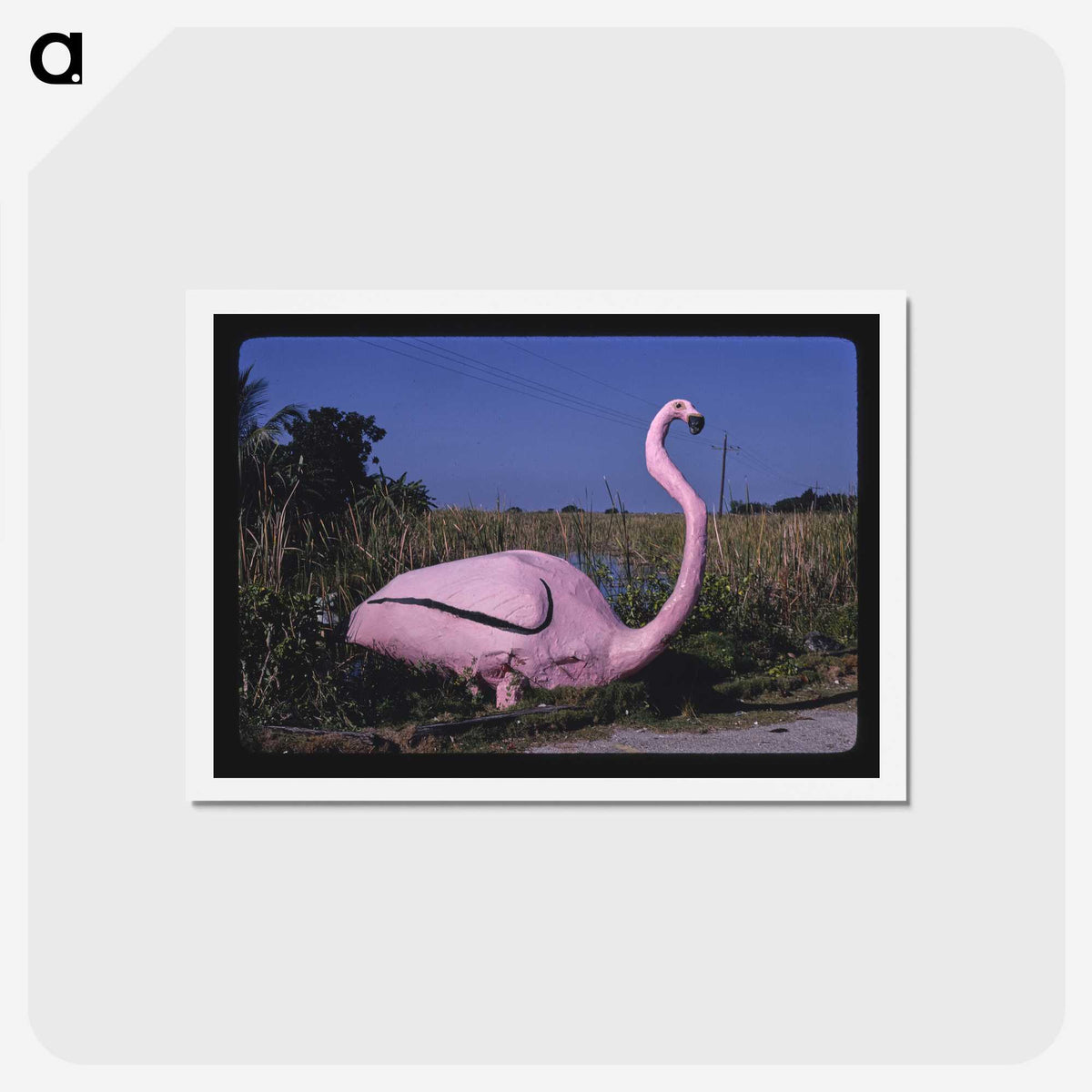 2-84_John-Margolies_hagaki
