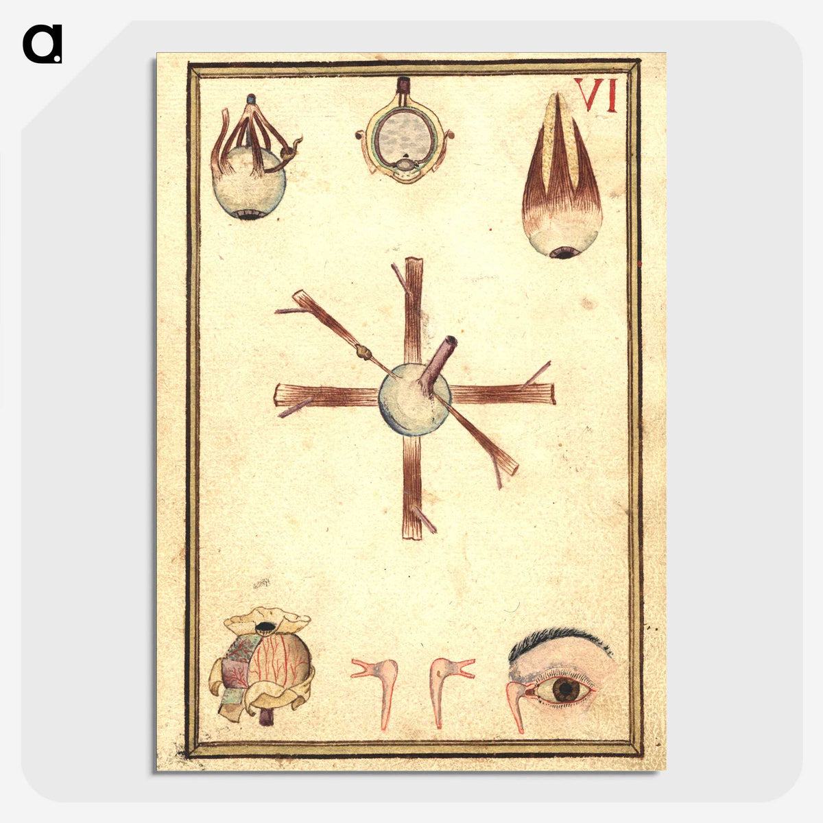 2-84_National-Library-of-Medicine_picture-crop