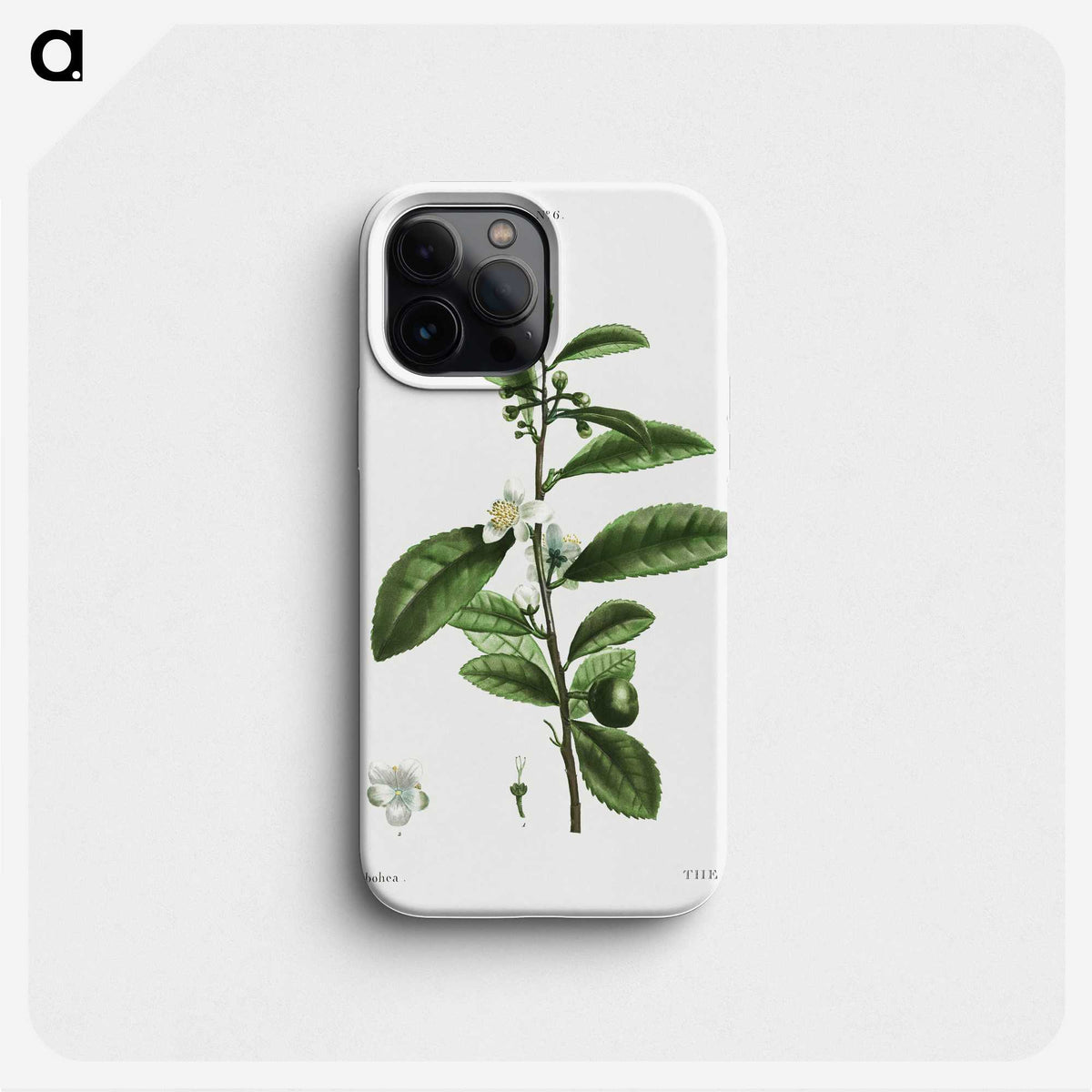 2-84_Treatise-on-Trees-and-Shrubs_phone