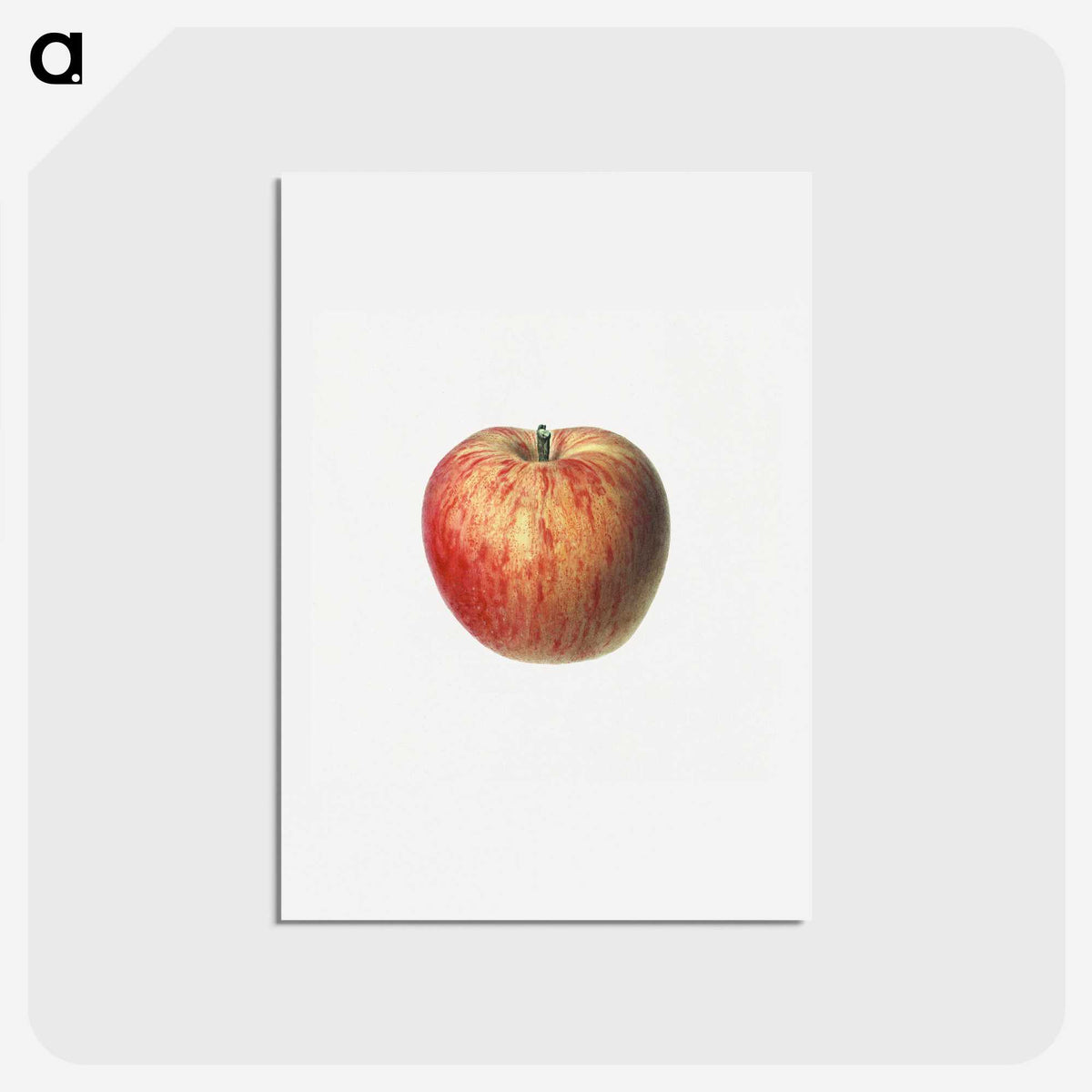 2-84_USDA-Watercolor-Fruit-Painting-Collection_hagaki