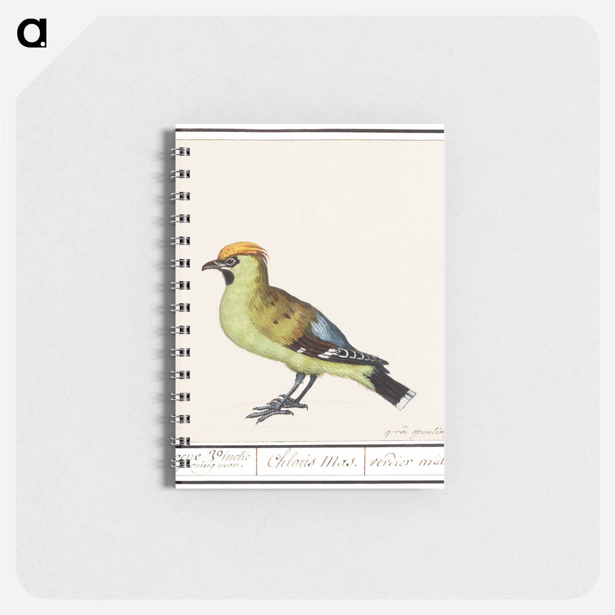 アートメモ帳-Bohemian Waxwing - アンセルムス ボエティウス デ ブート Memo.