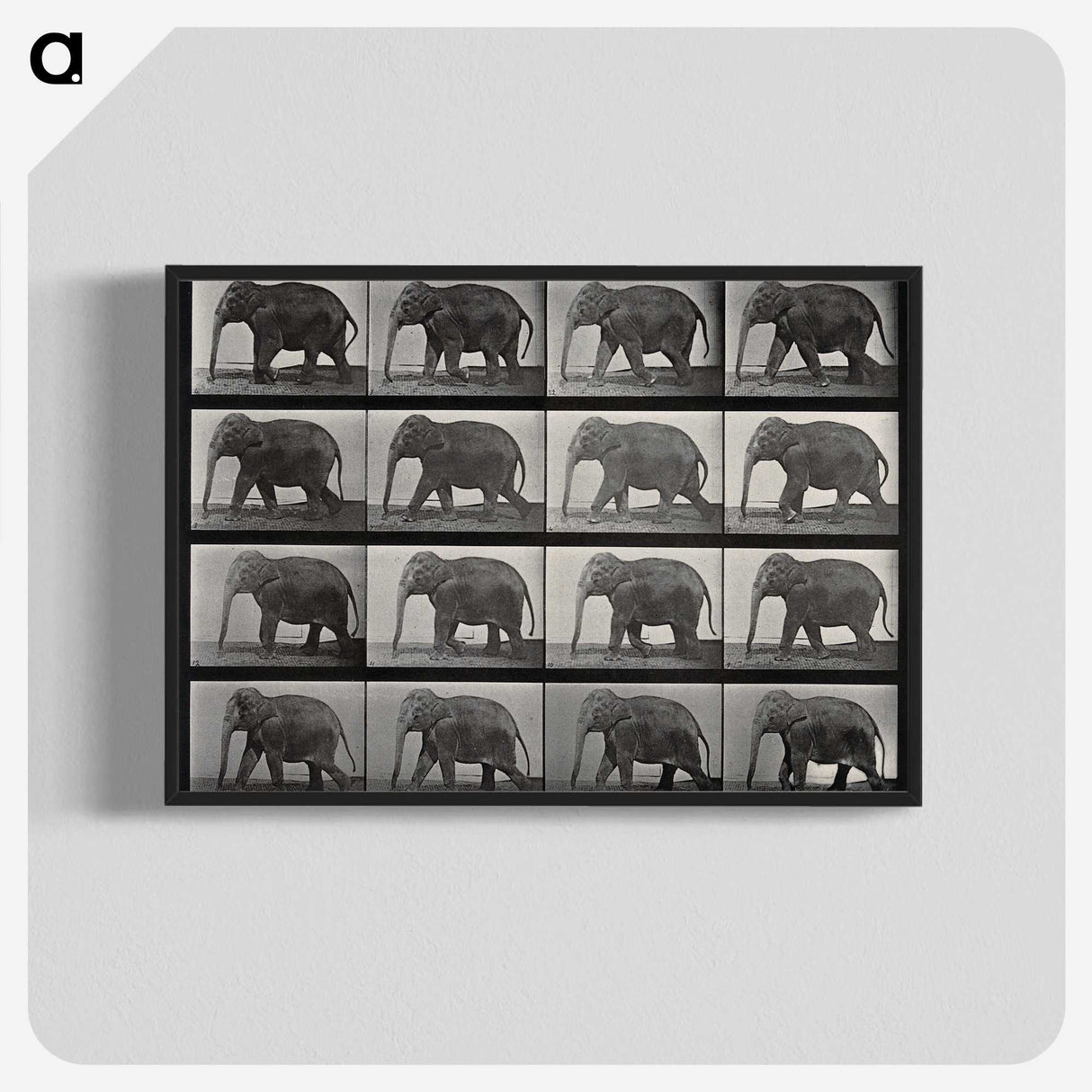 2-85_Eadweard-Muybridge_blk-crop