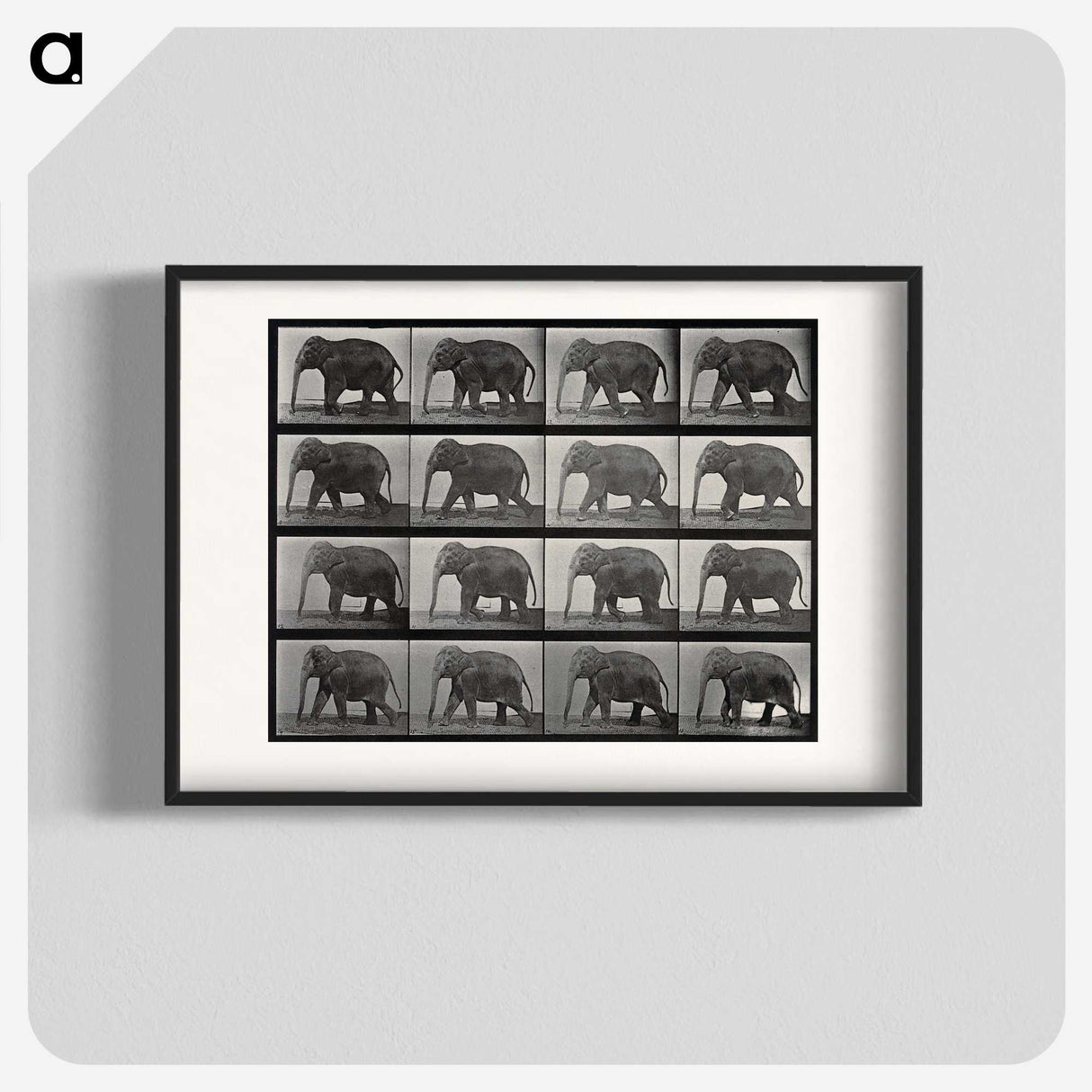 2-85_Eadweard-Muybridge_blk