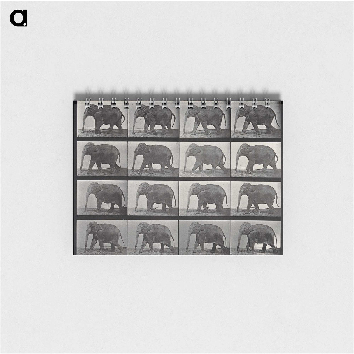 2-85_Eadweard-Muybridge_memo