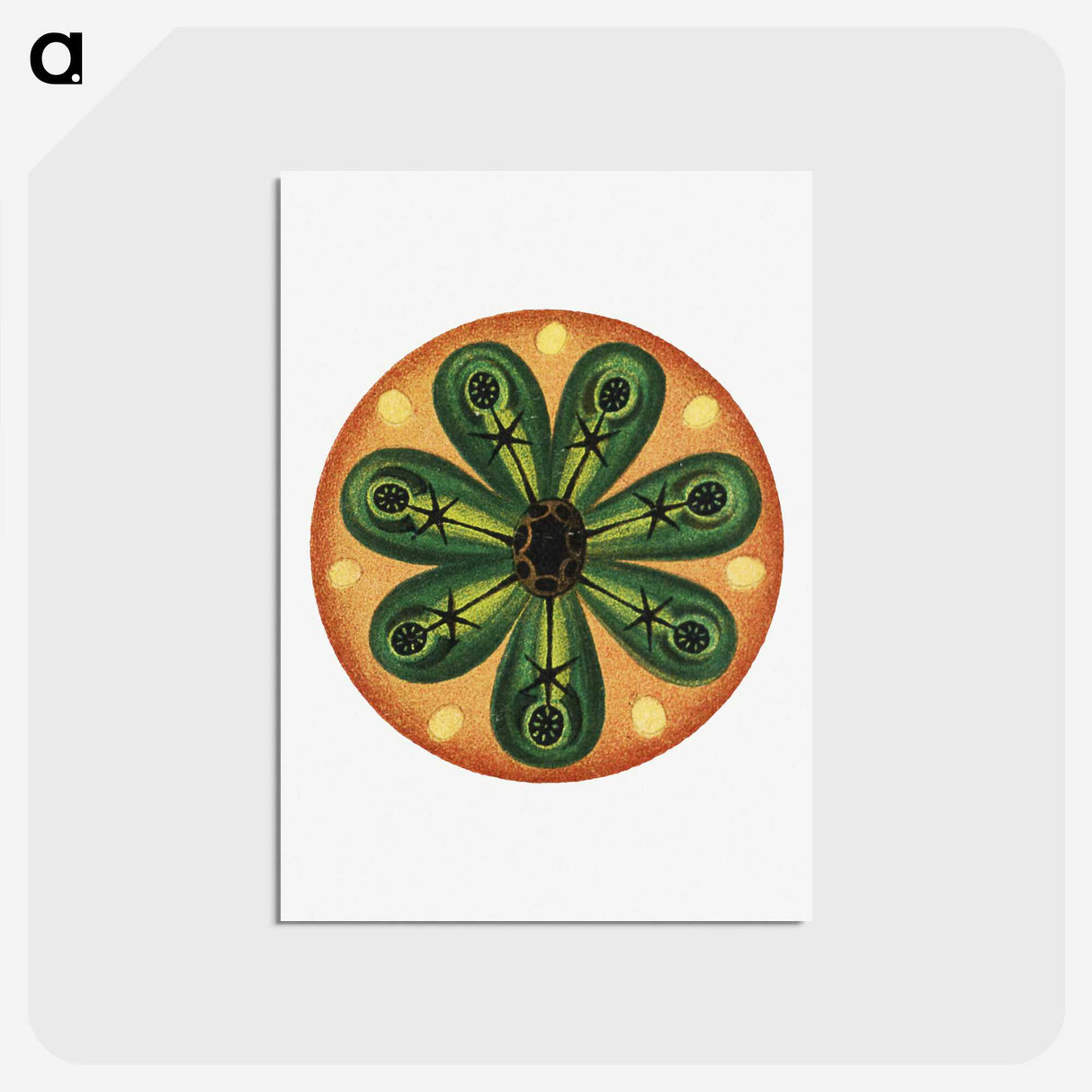 2-85_Ernst-Haeckel_postcard