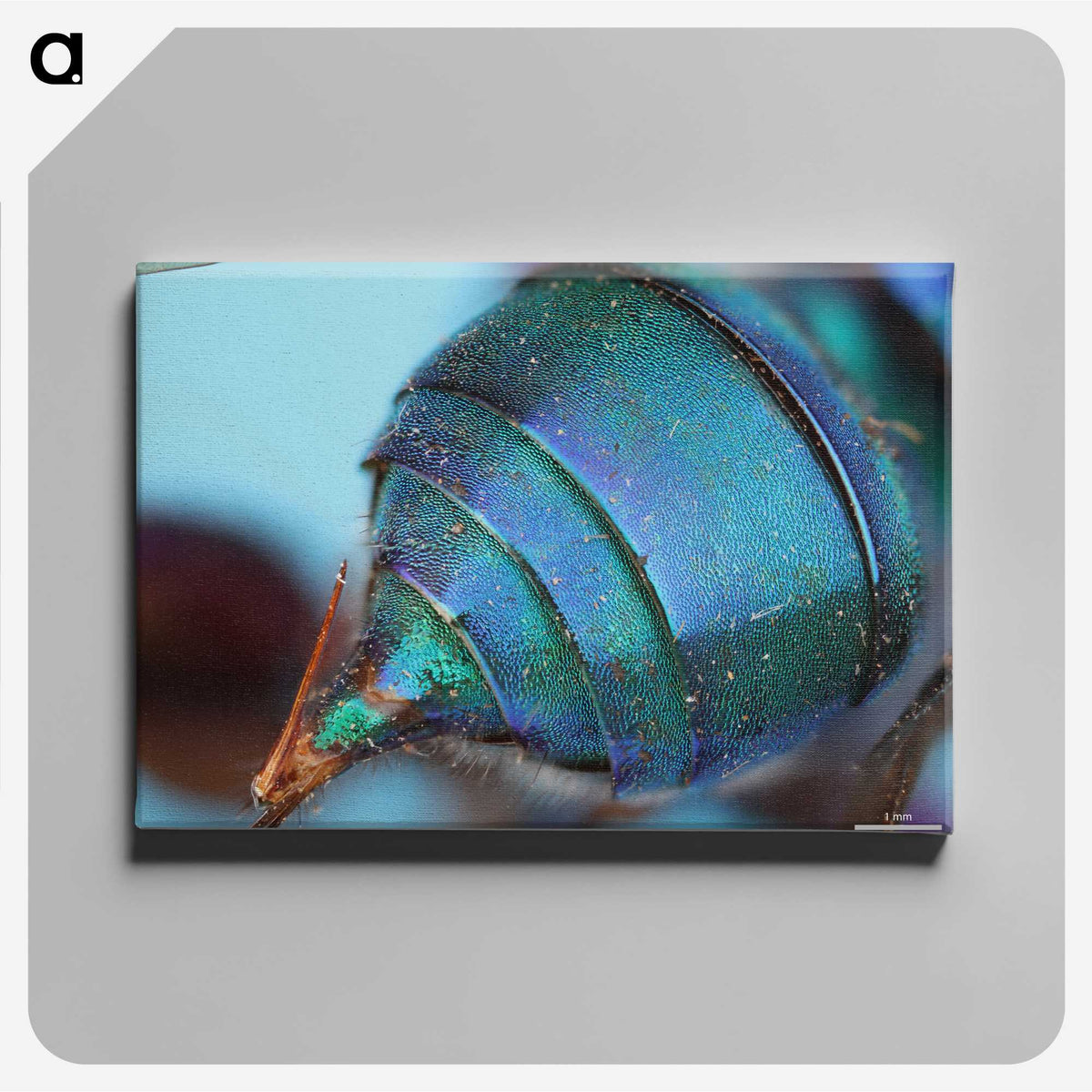 2-85_Insects-Unlocked-Project_canvas