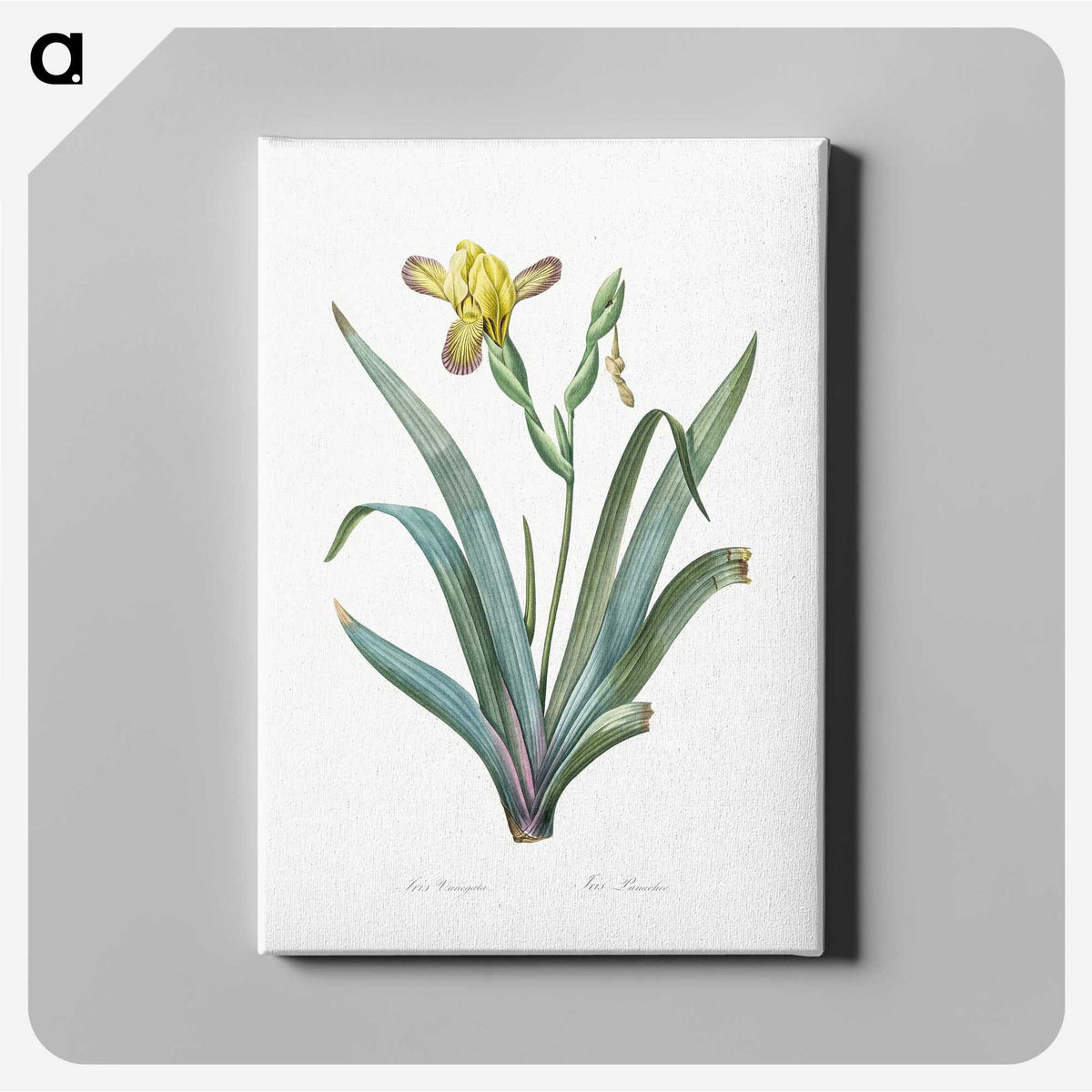 2-85_The-Lilies_canvas