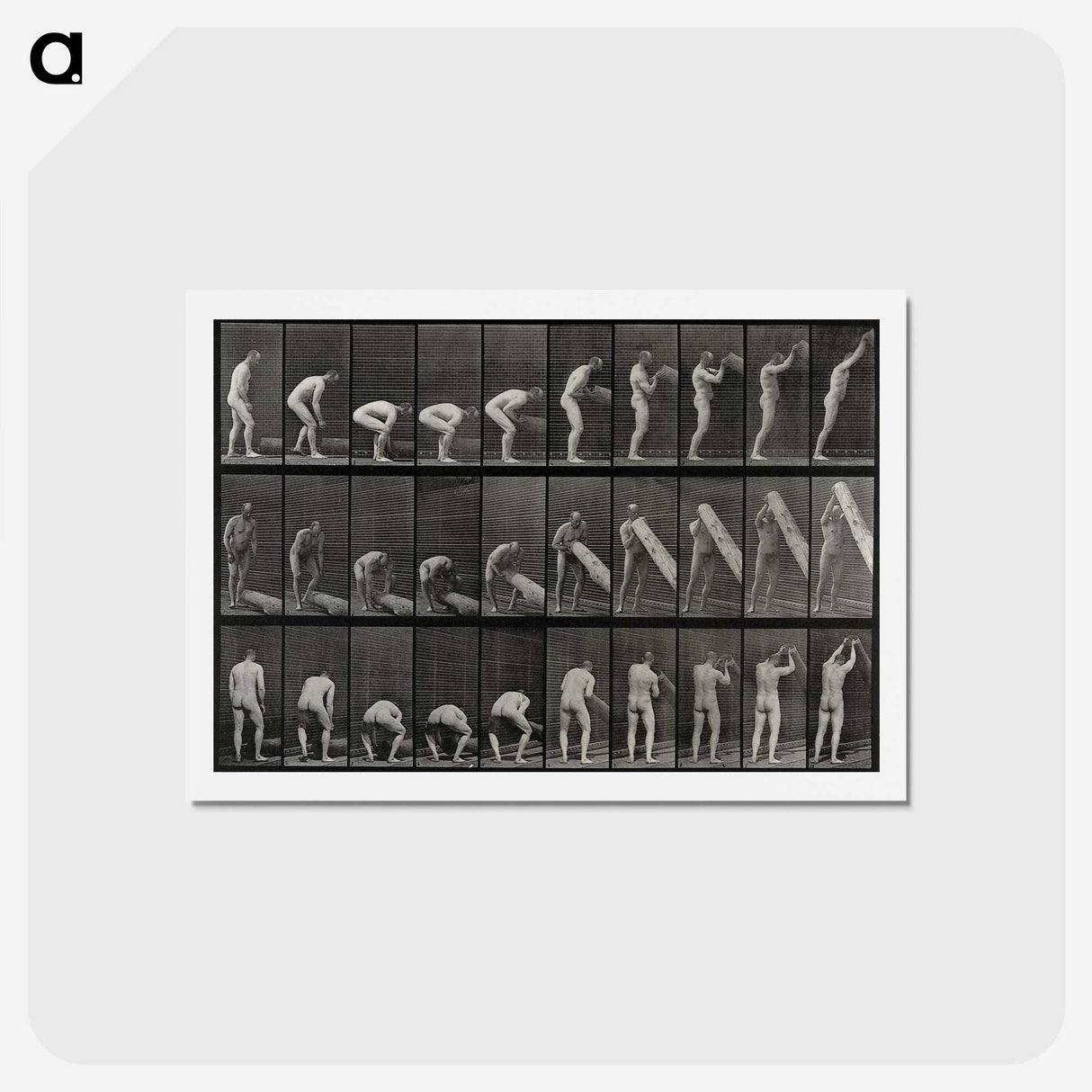2-86_Eadweard-Muybridge_hagaki