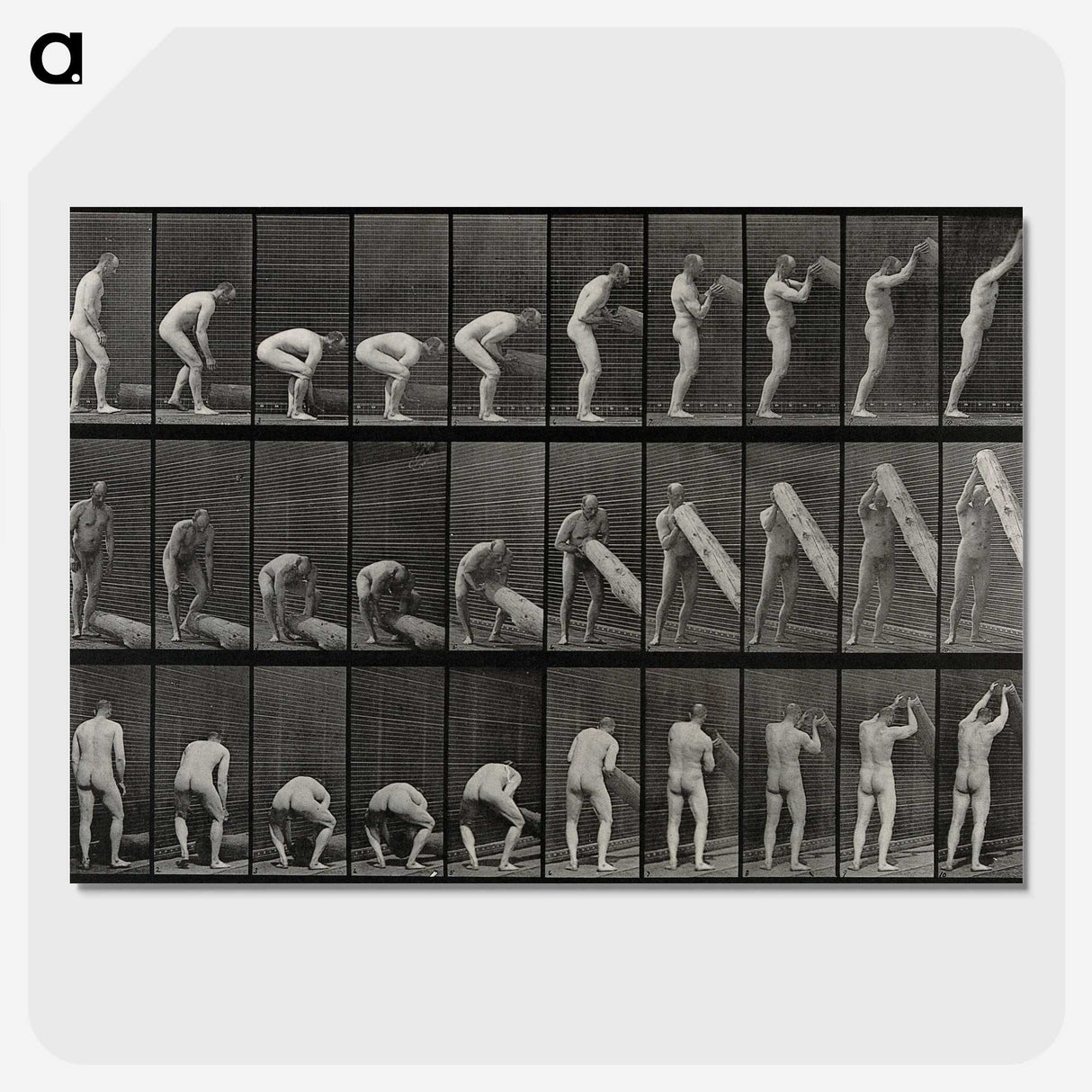 2-86_Eadweard-Muybridge_picture-crop