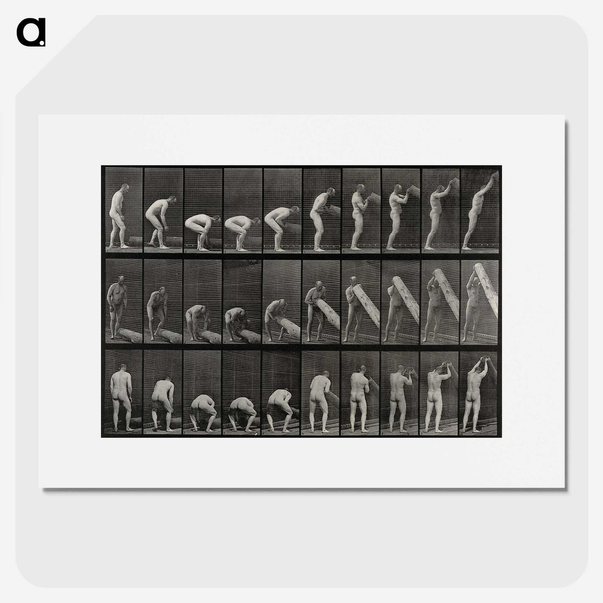 2-86_Eadweard-Muybridge_picture