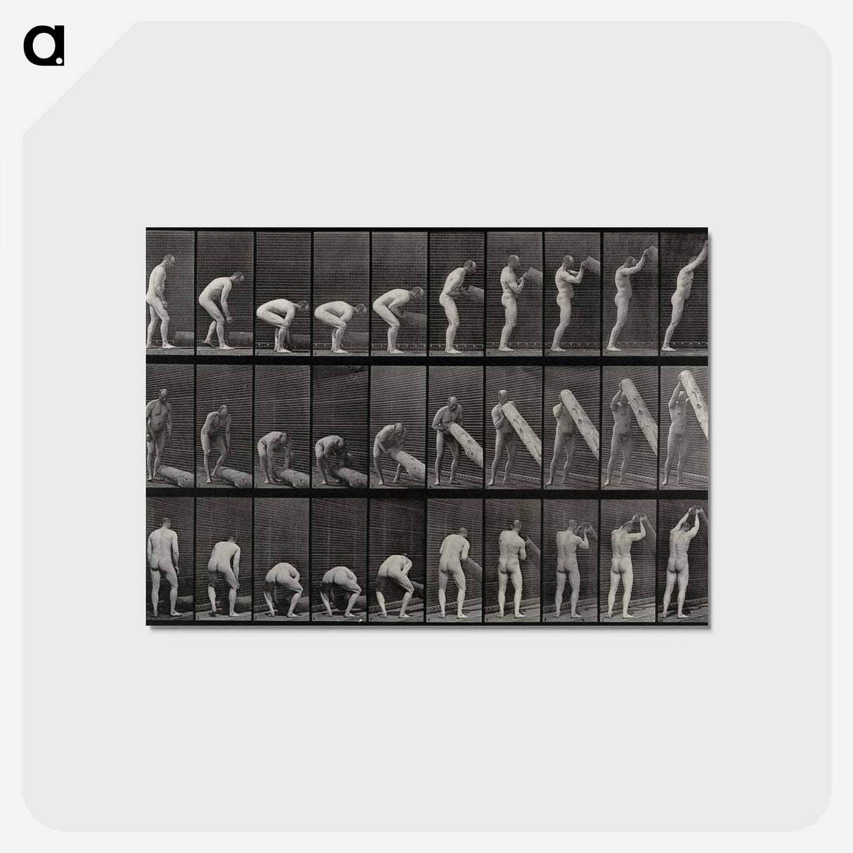 アートポストカード-Man Lifting a Trunk
- エドワード マイブリッジ Postcard.