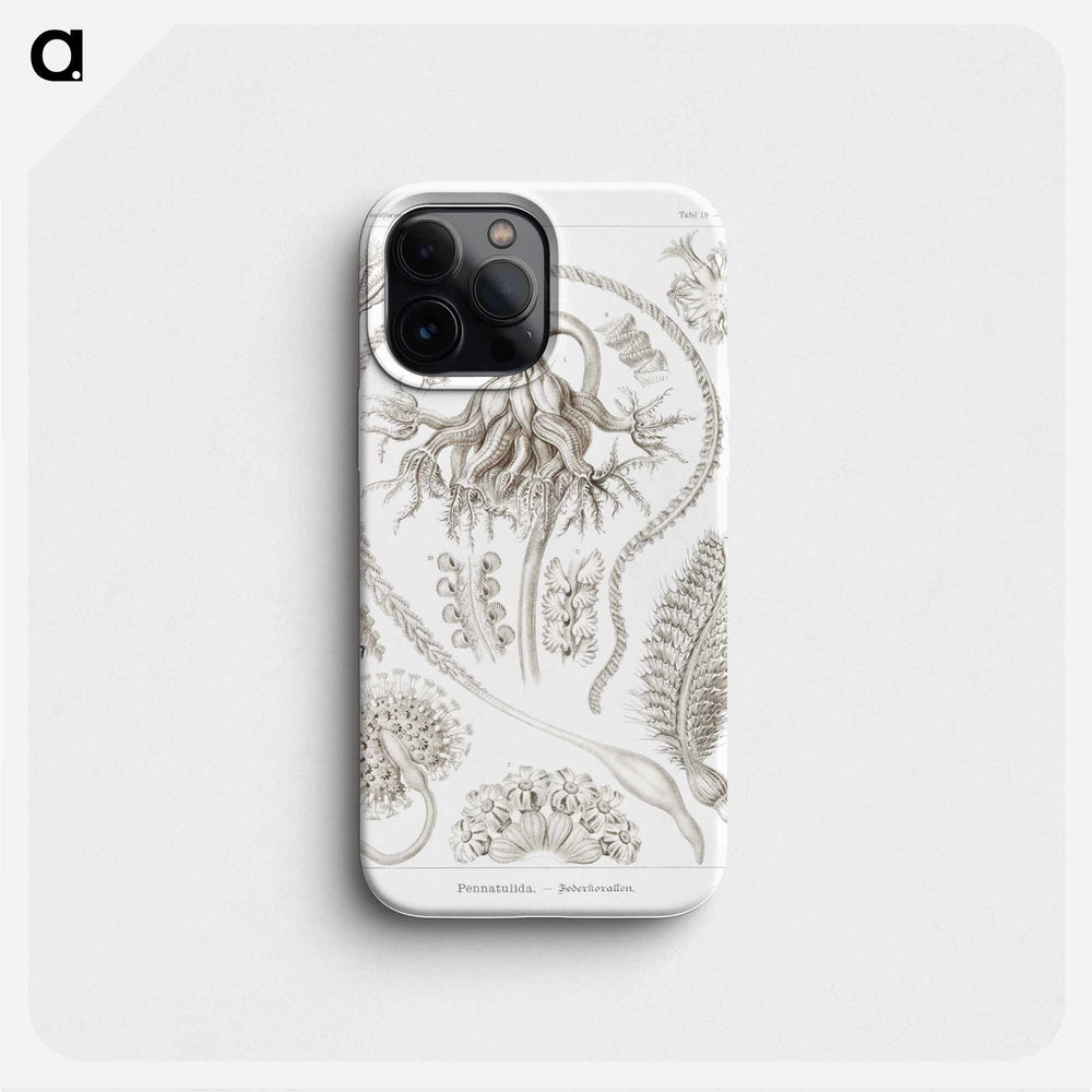 Pennatulida–Federkorallen - エルンスト ヘッケル Phone Case.