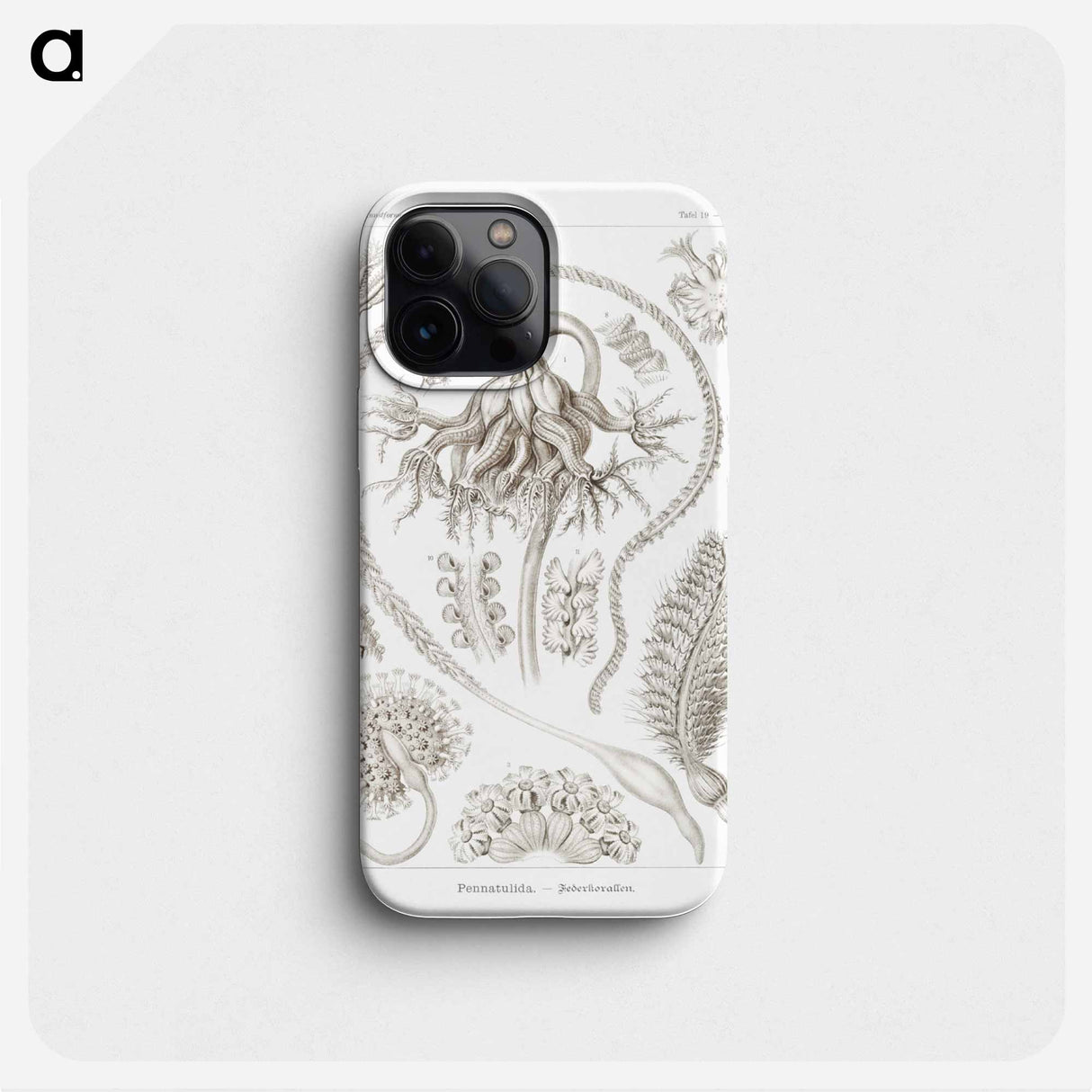 Pennatulida–Federkorallen - エルンスト ヘッケル Phone Case.