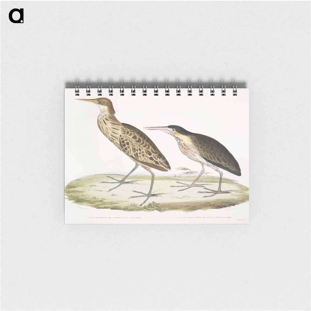 2-86_Indian-Zoology_memo
