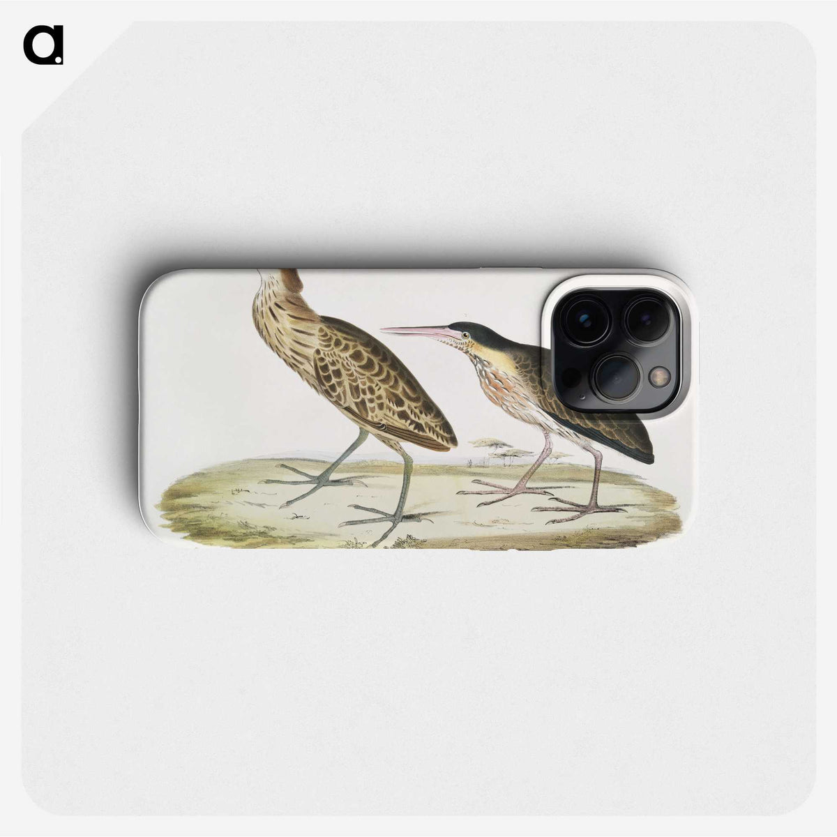 2-86_Indian-Zoology_phone