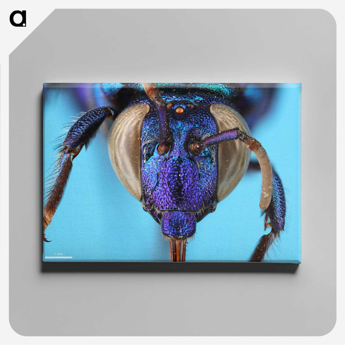 2-86_Insects-Unlocked-Project_canvas
