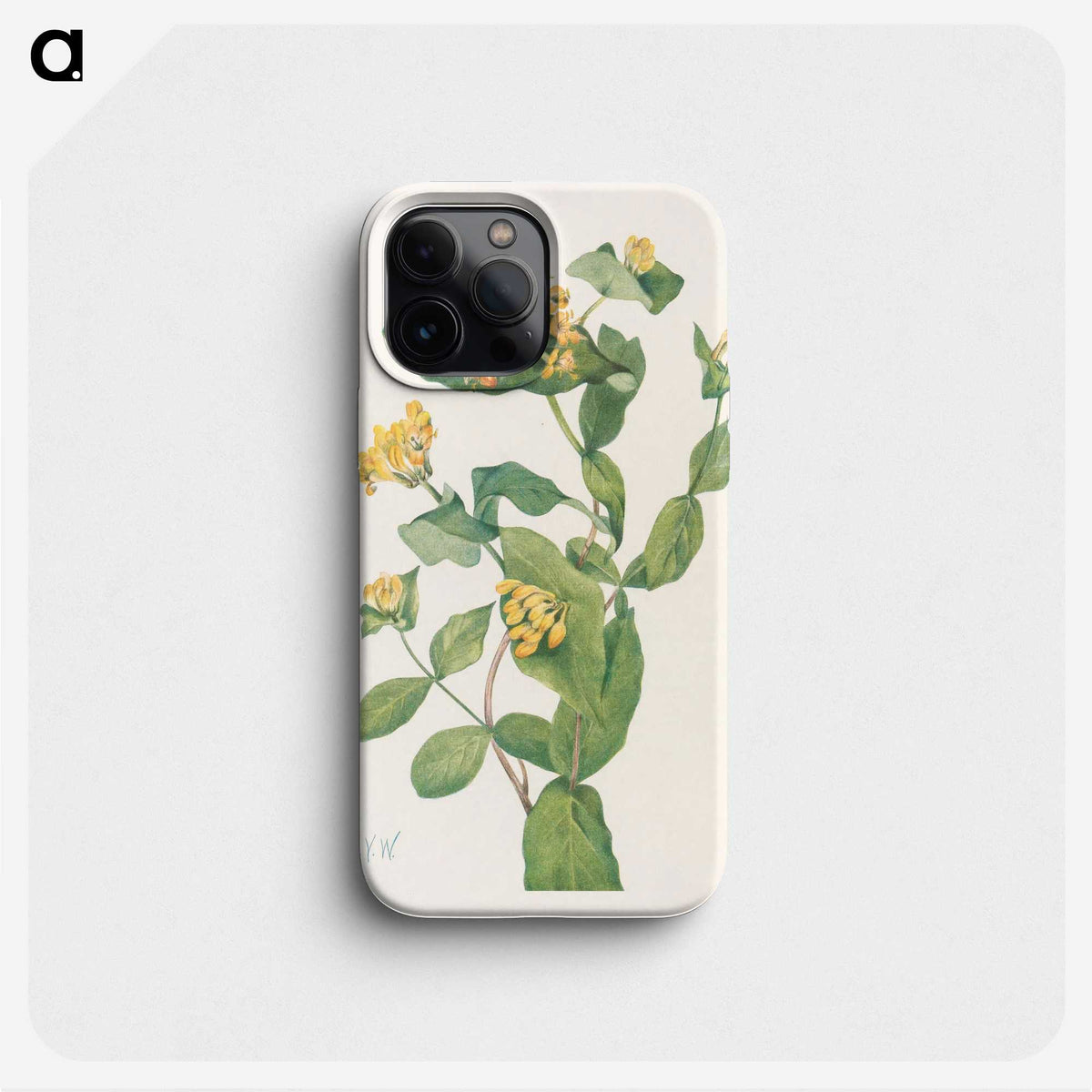 2-86_Mary-Vaux-Walcott_phone