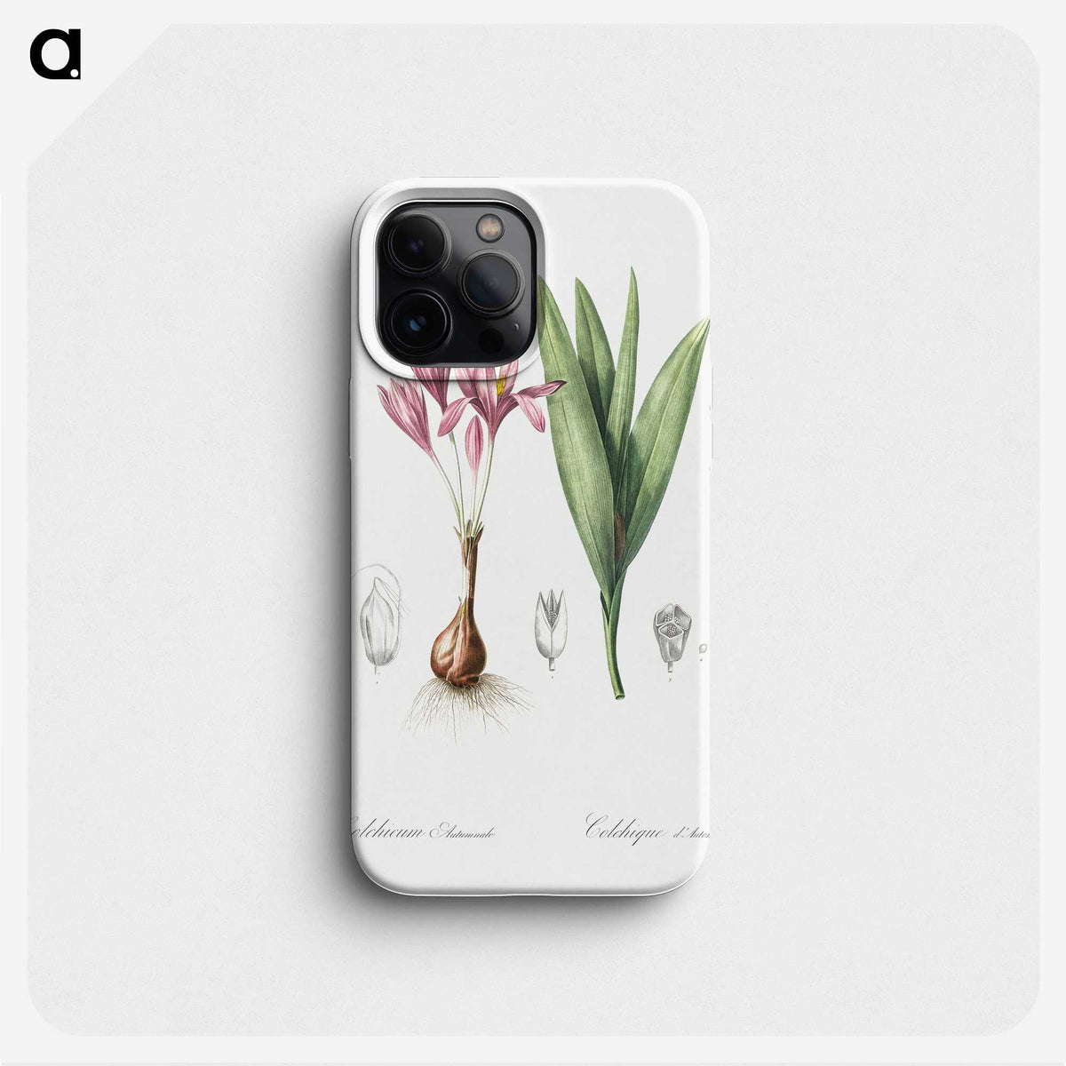 2-86_The-Lilies_phone
