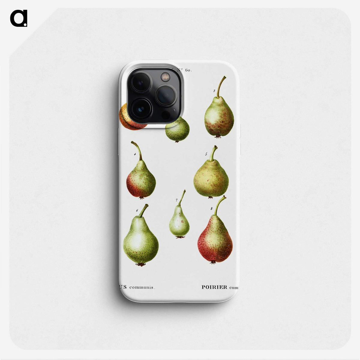 2-86_Treatise-on-Trees-and-Shrubs_phone