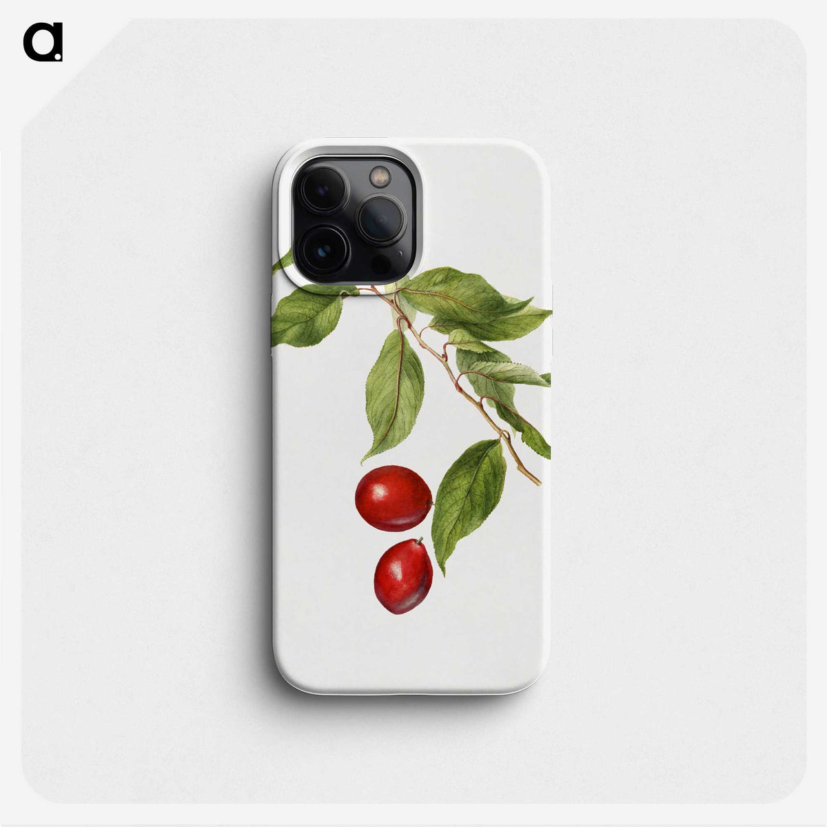 2-86_USDA-Watercolor-Fruit-Painting-Collection_phone