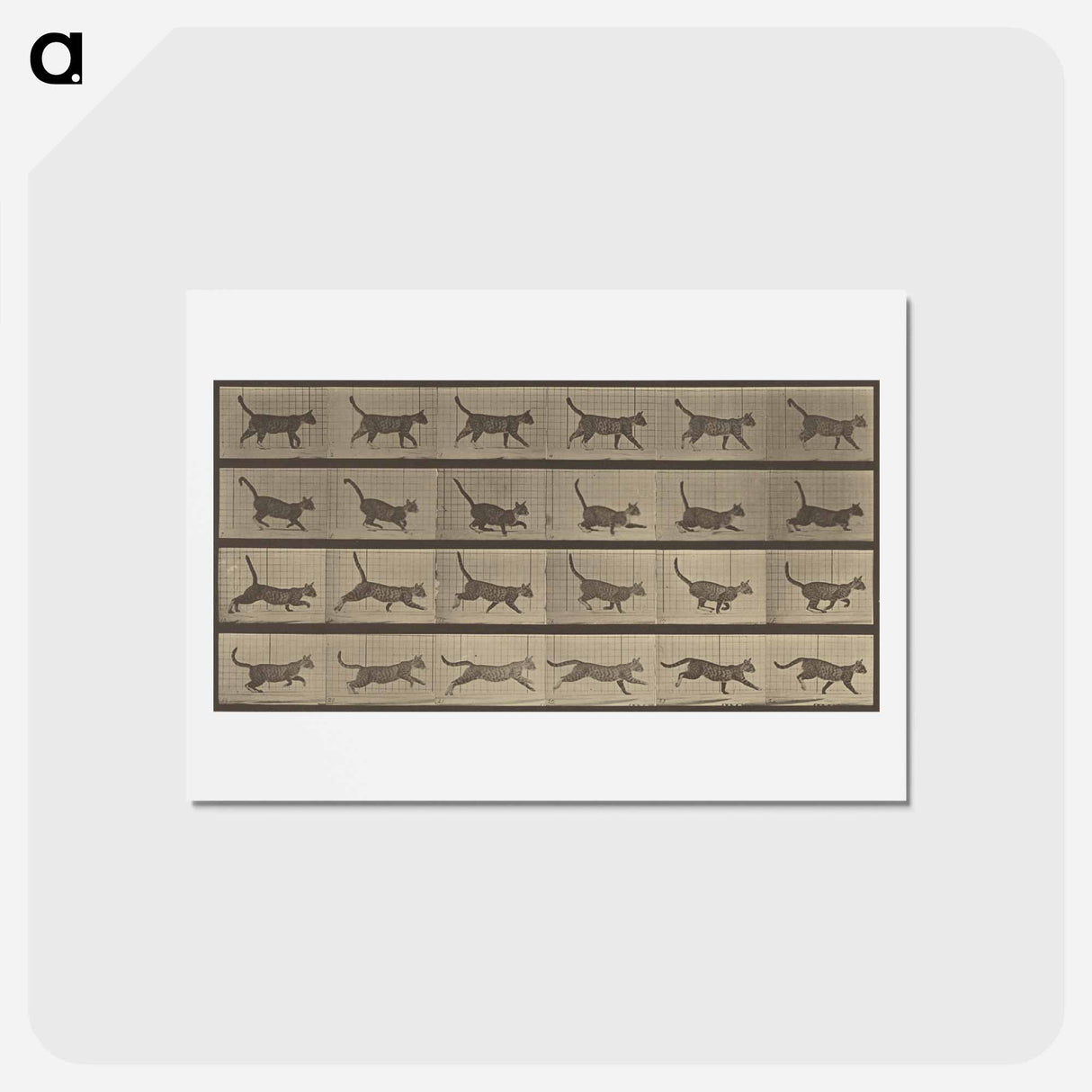アートポストカード-Animal Locomotion
- エドワード マイブリッジ Postcard.
