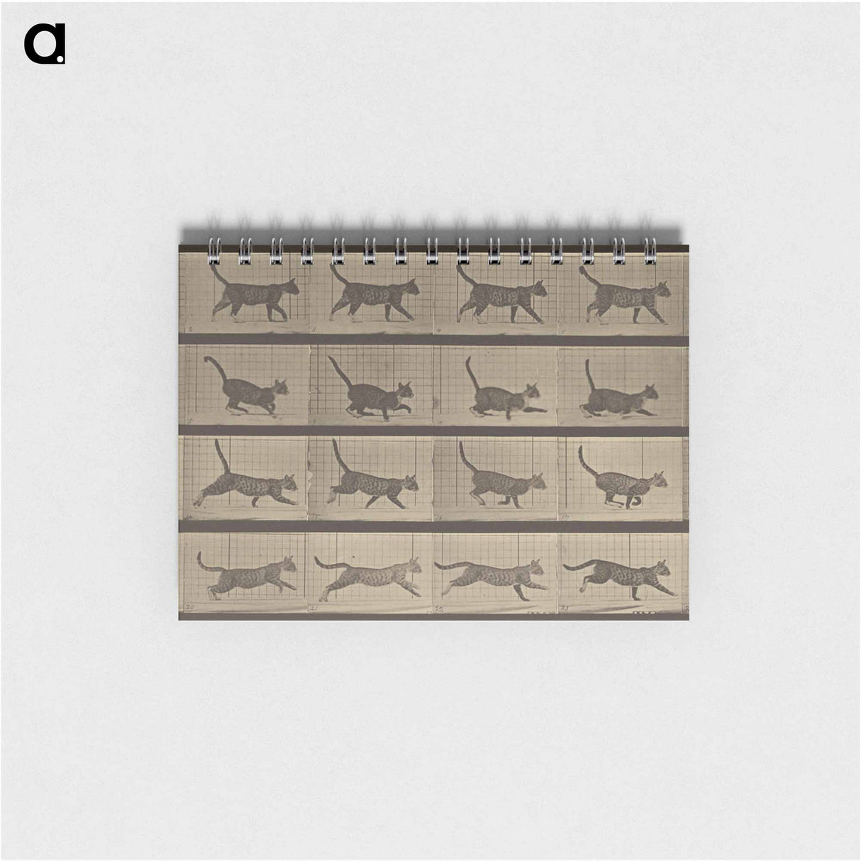 アートメモ帳-Animal Locomotion
- エドワード マイブリッジ Memo.