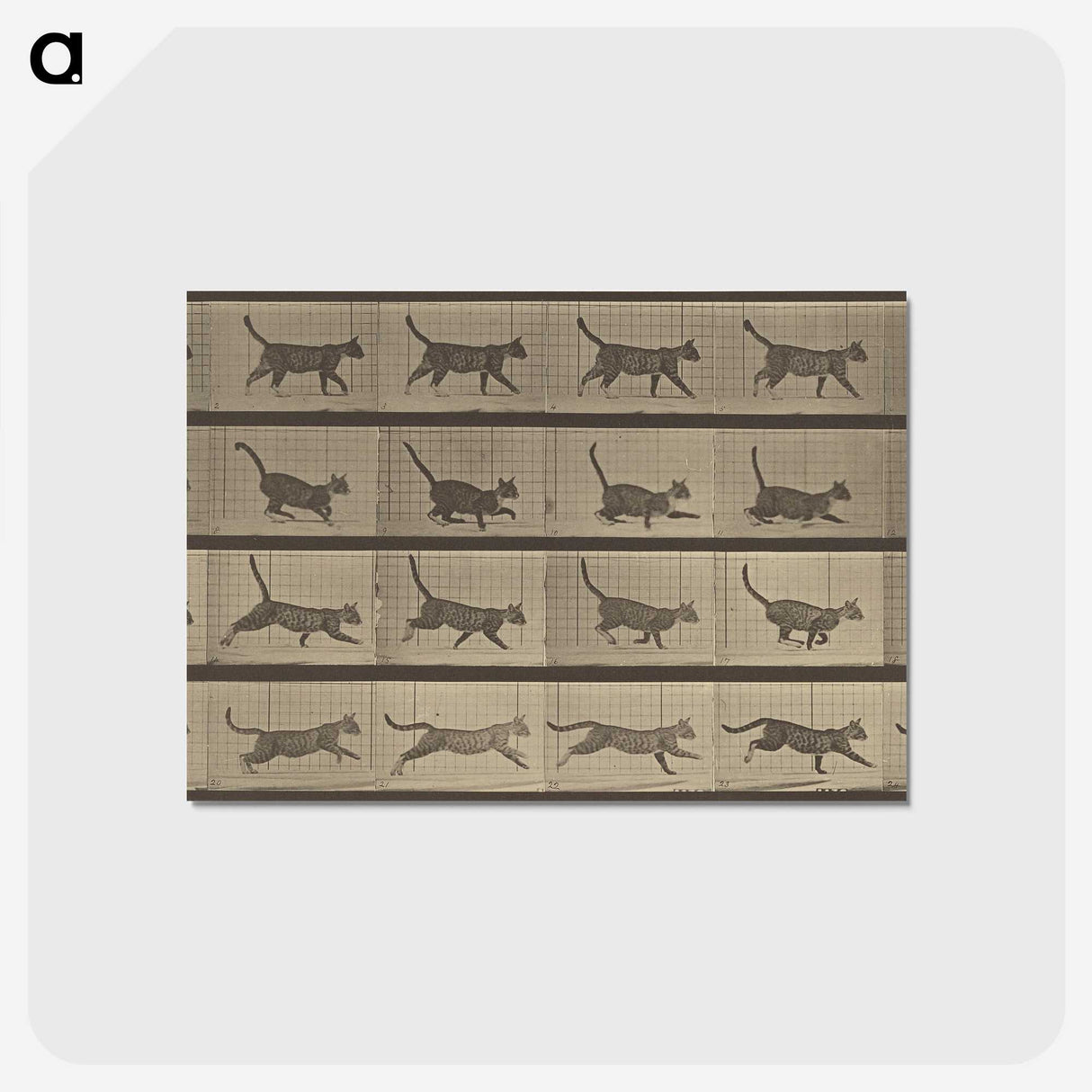 2-87_Eadweard-Muybridge_postcard