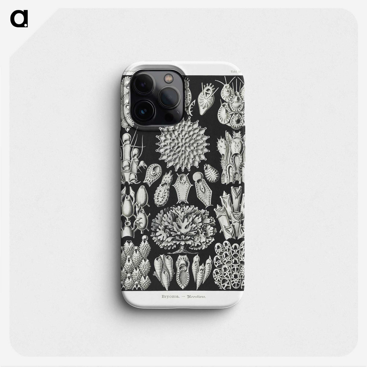 2-87_Ernst-Haeckel_phone