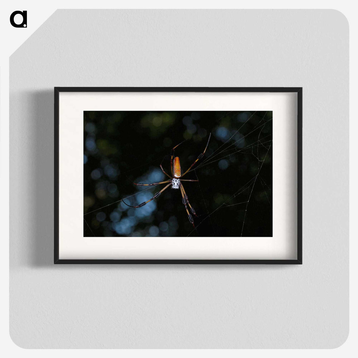 2-87_Insects-Unlocked-Project_blk