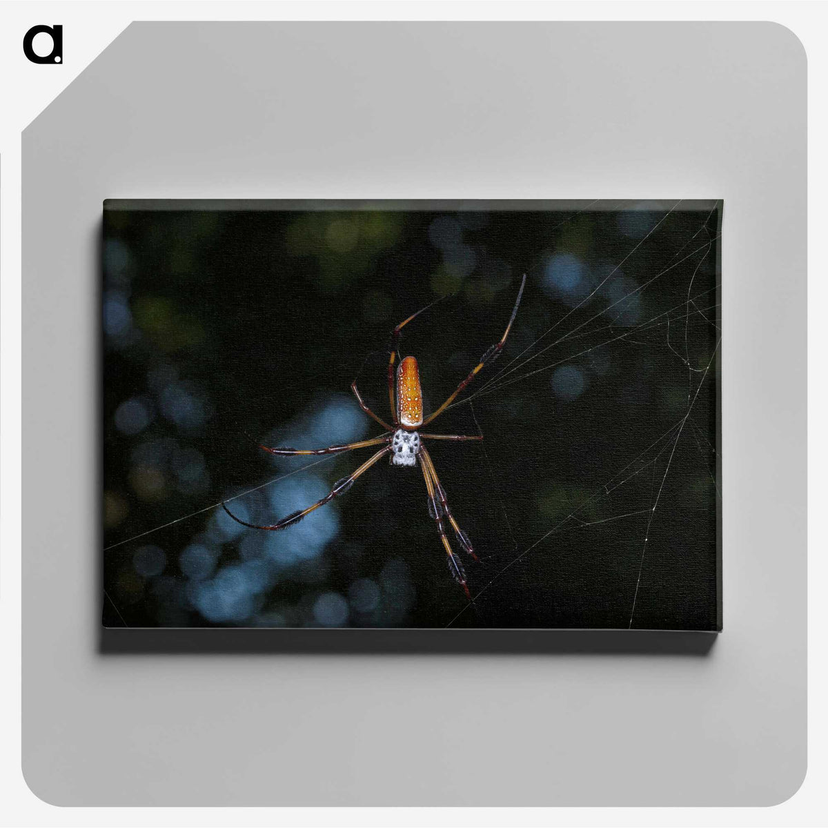 2-87_Insects-Unlocked-Project_canvas