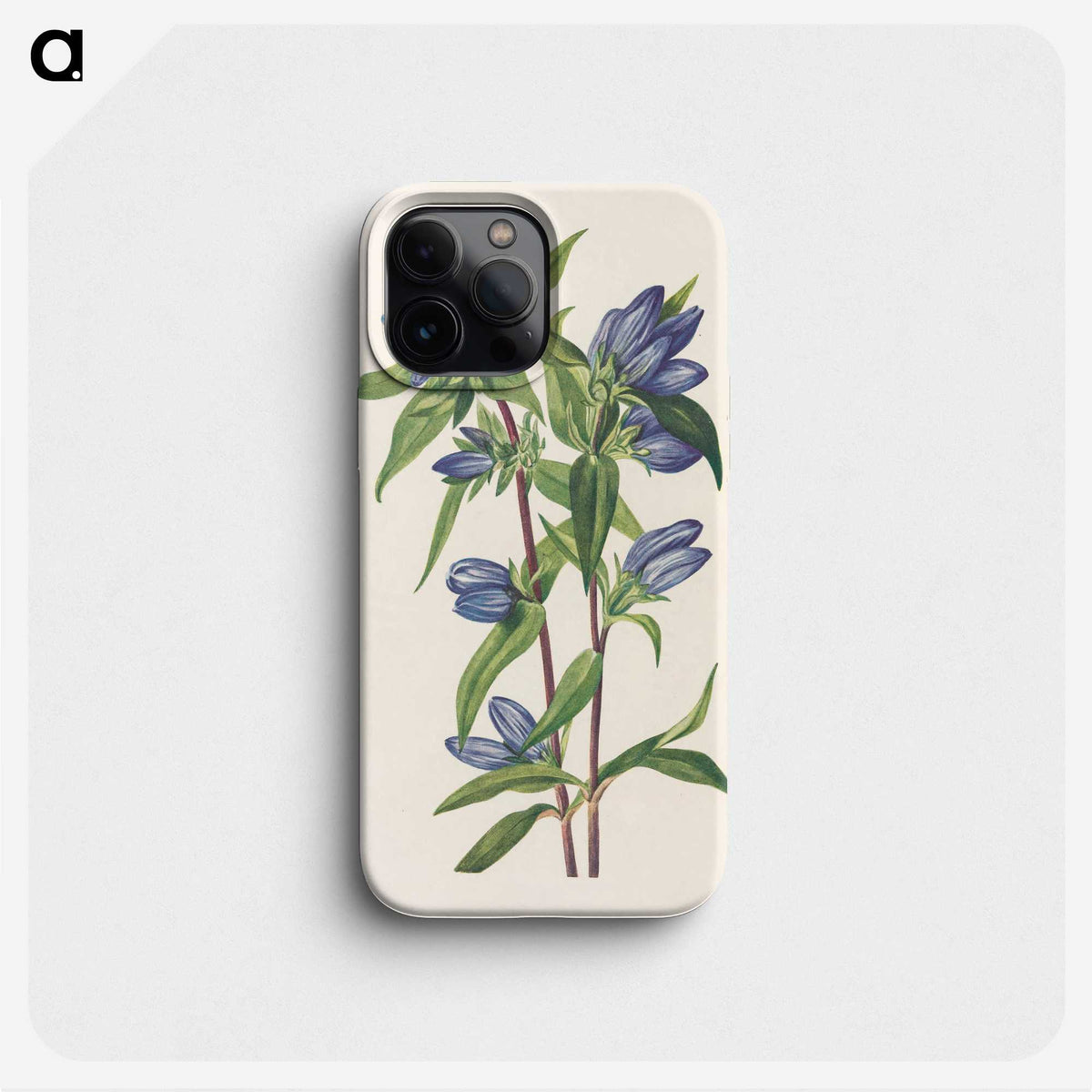 2-87_Mary-Vaux-Walcott_phone