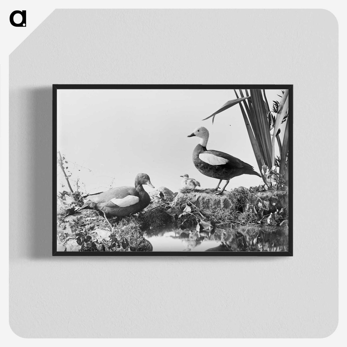 2-87_The-Burton-Brothers_blk-crop