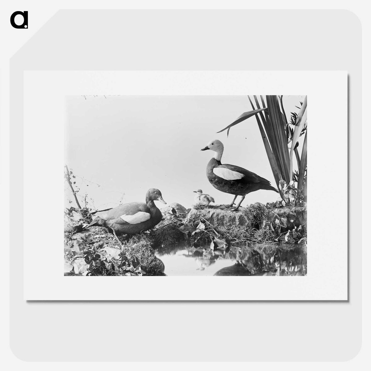 2-87_The-Burton-Brothers_picture