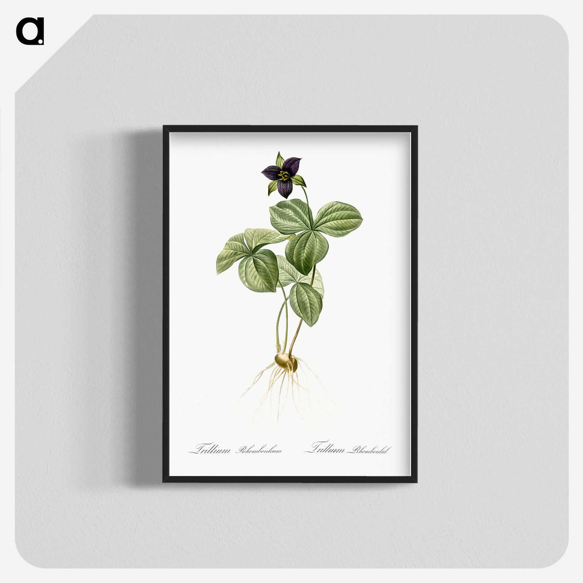2-87_The-Lilies_blk-crop
