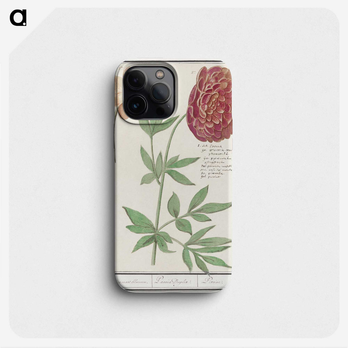 2-88_Anselmus-Boetius-de-Boodt_phone